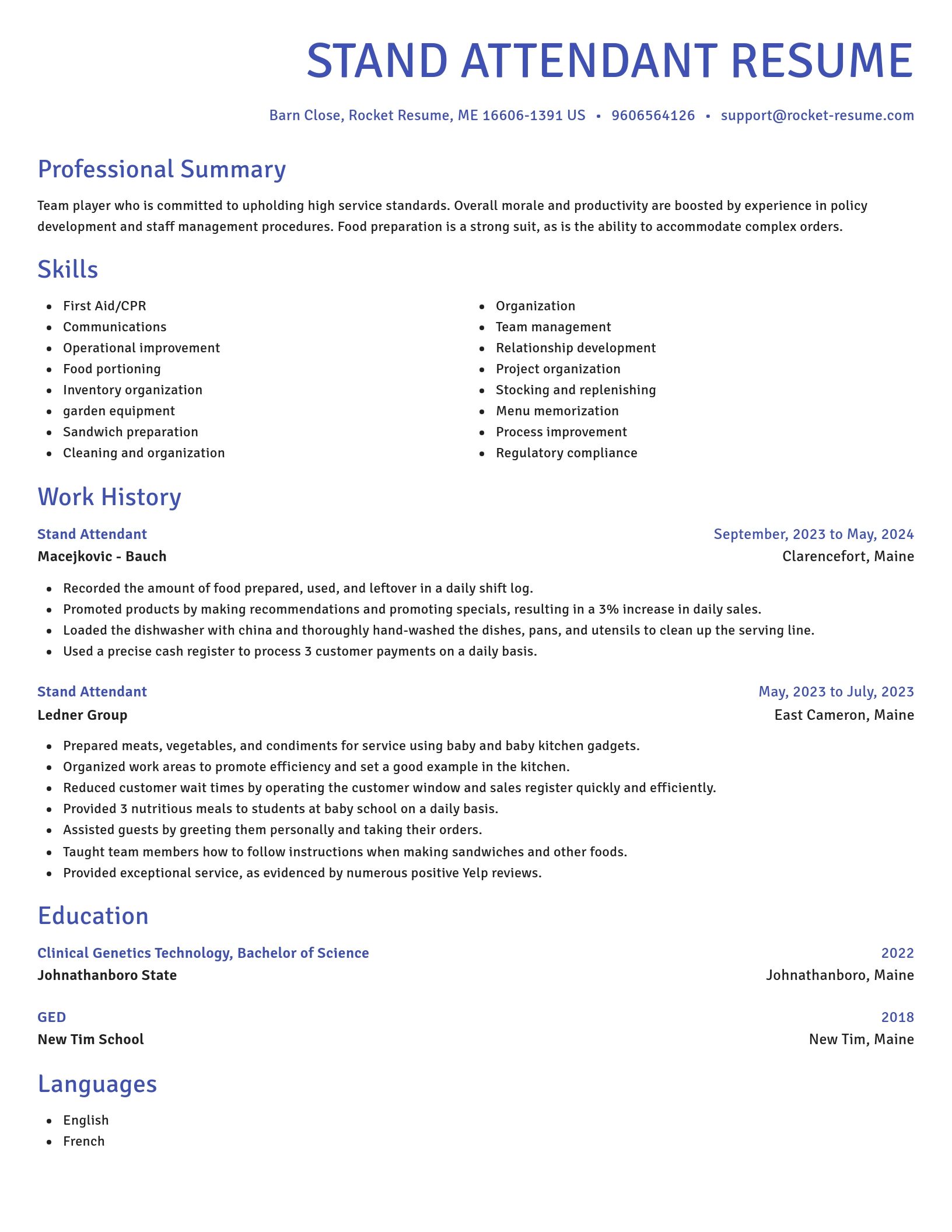 Novel resume template