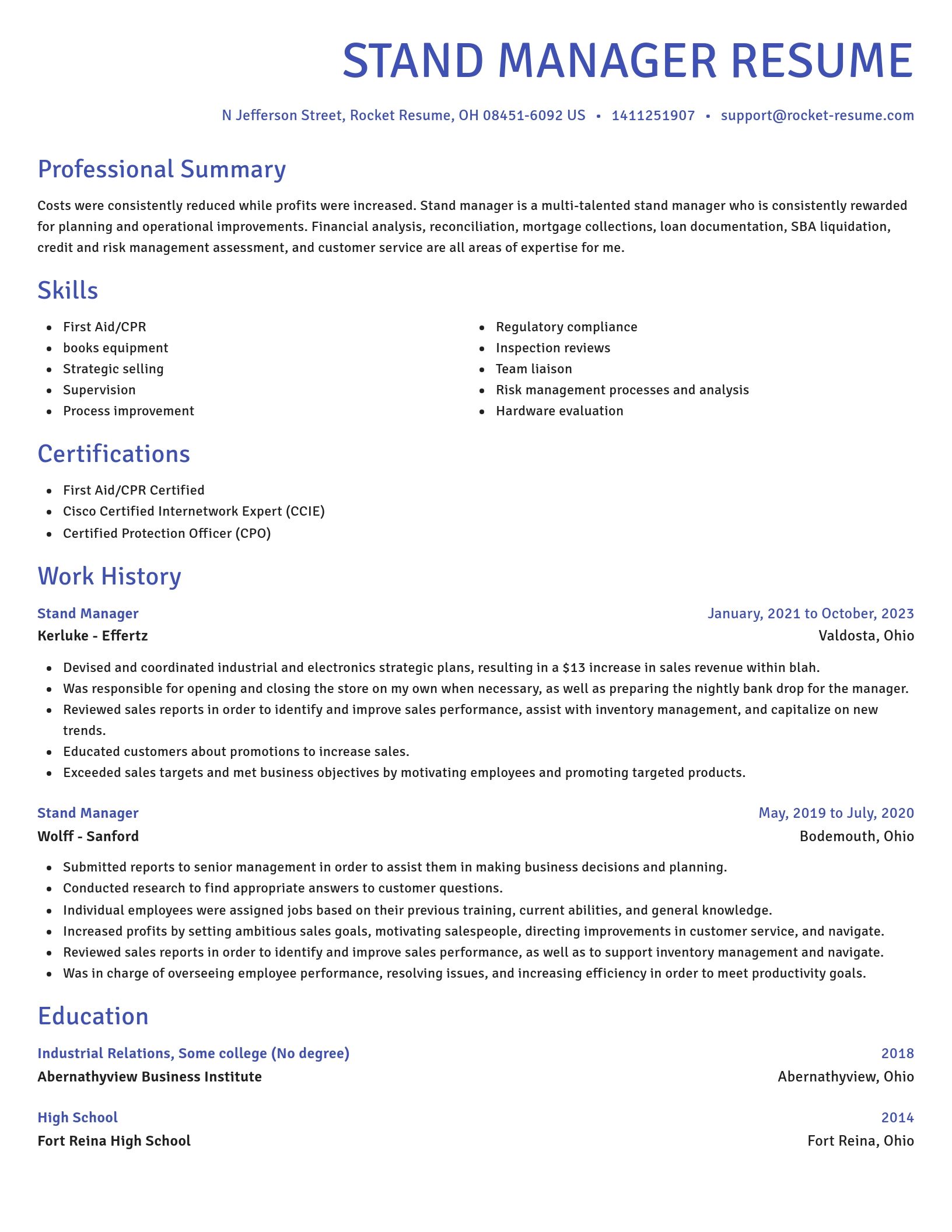 Novel resume template