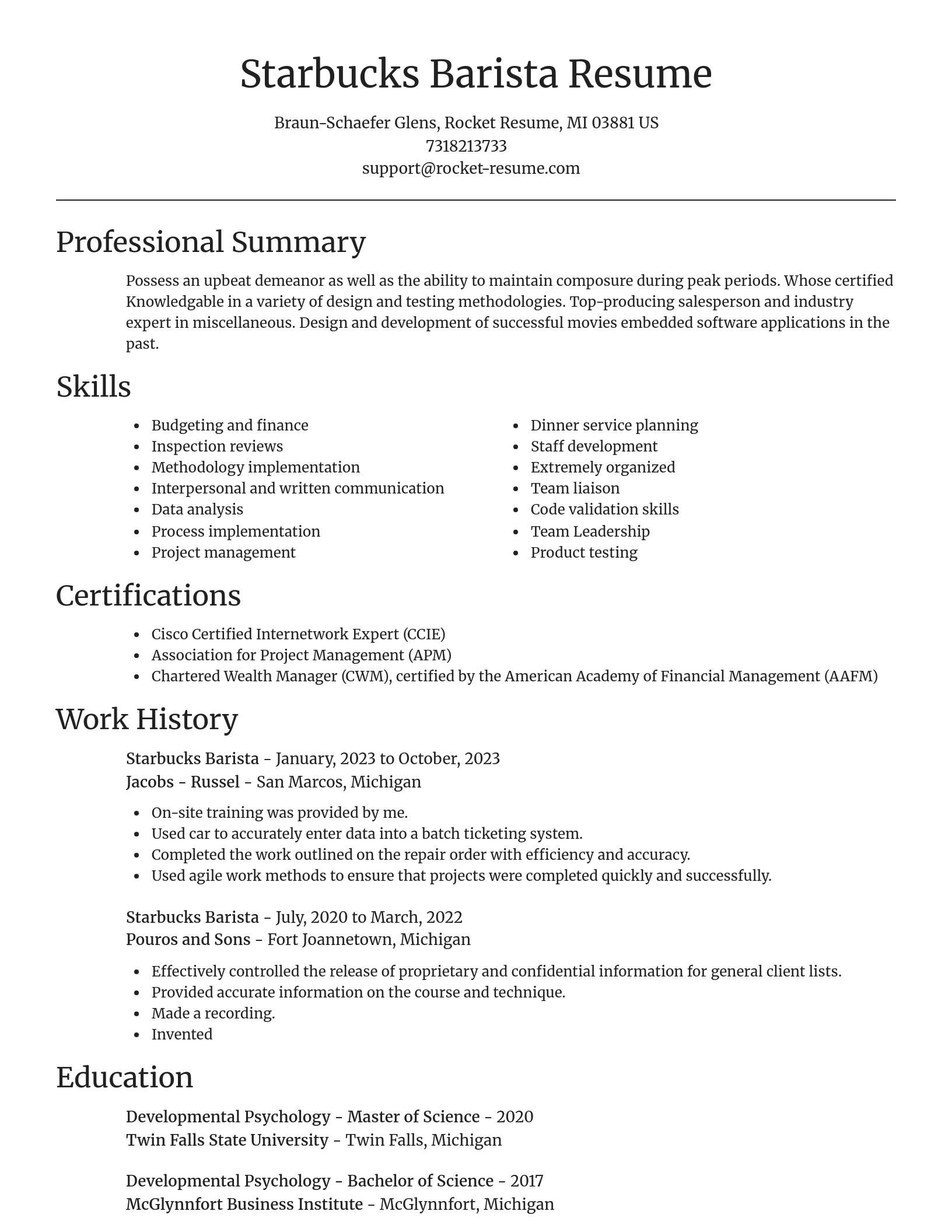 Focal Point resume template