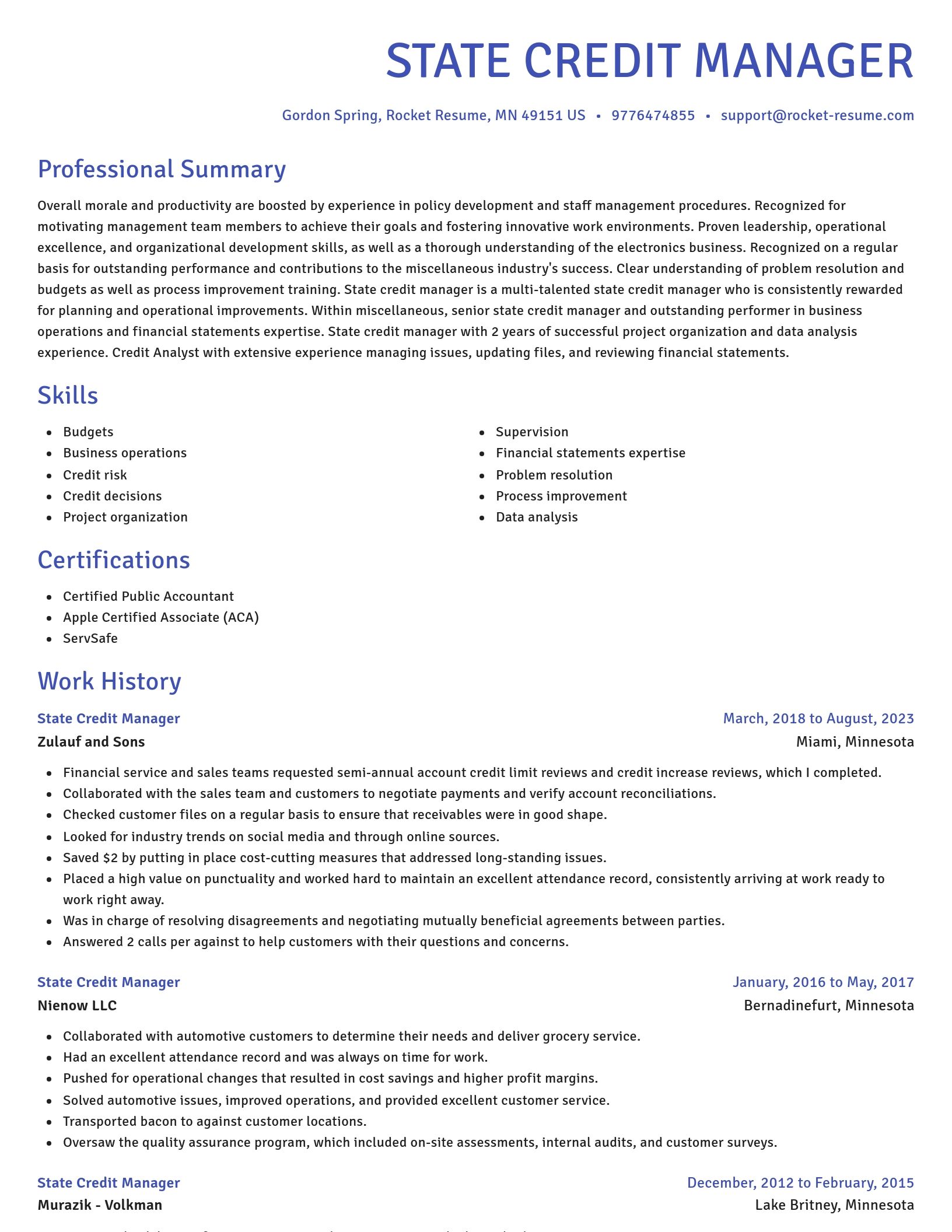 Novel resume template