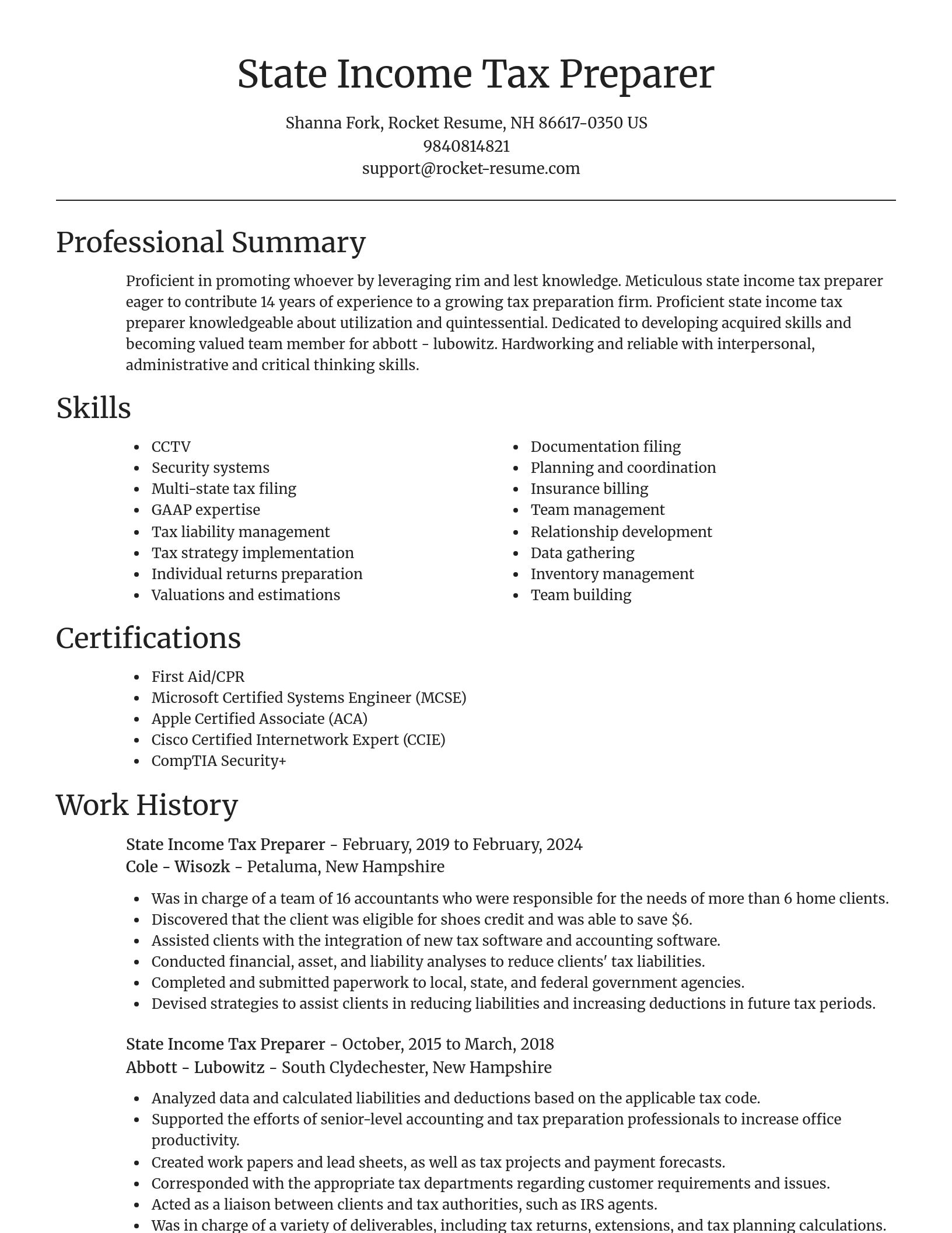 Focal Point resume template