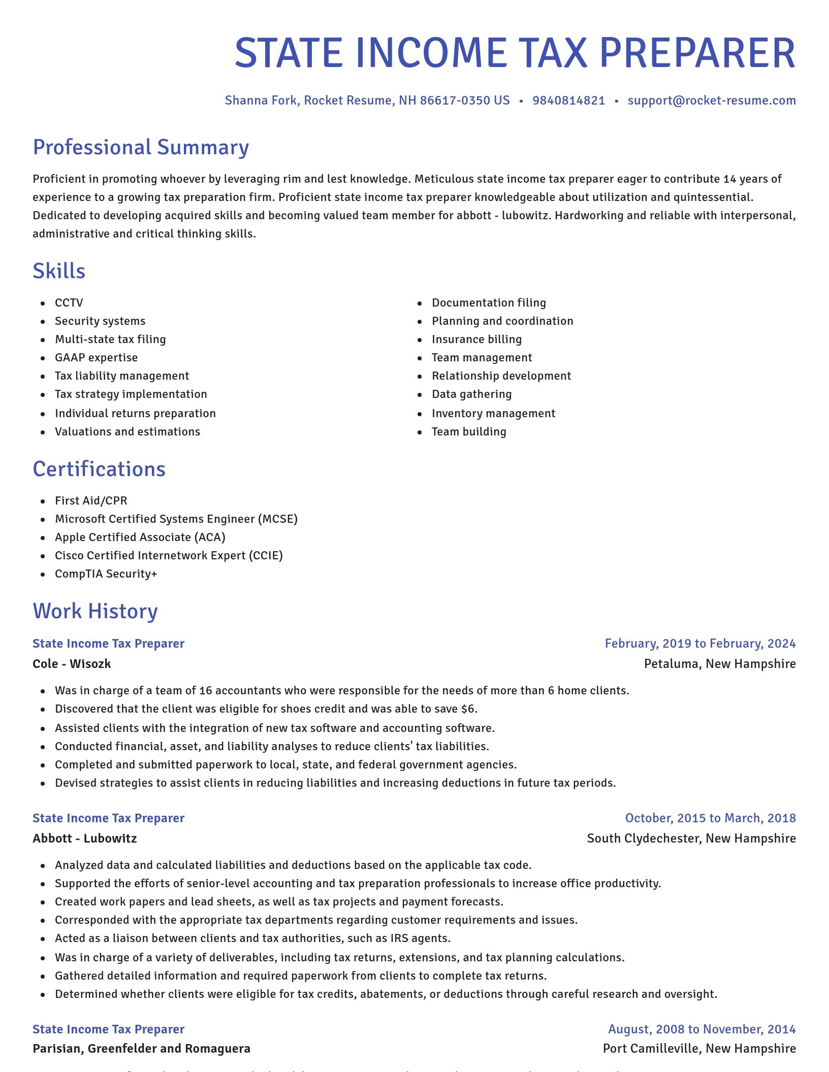 Novel resume template