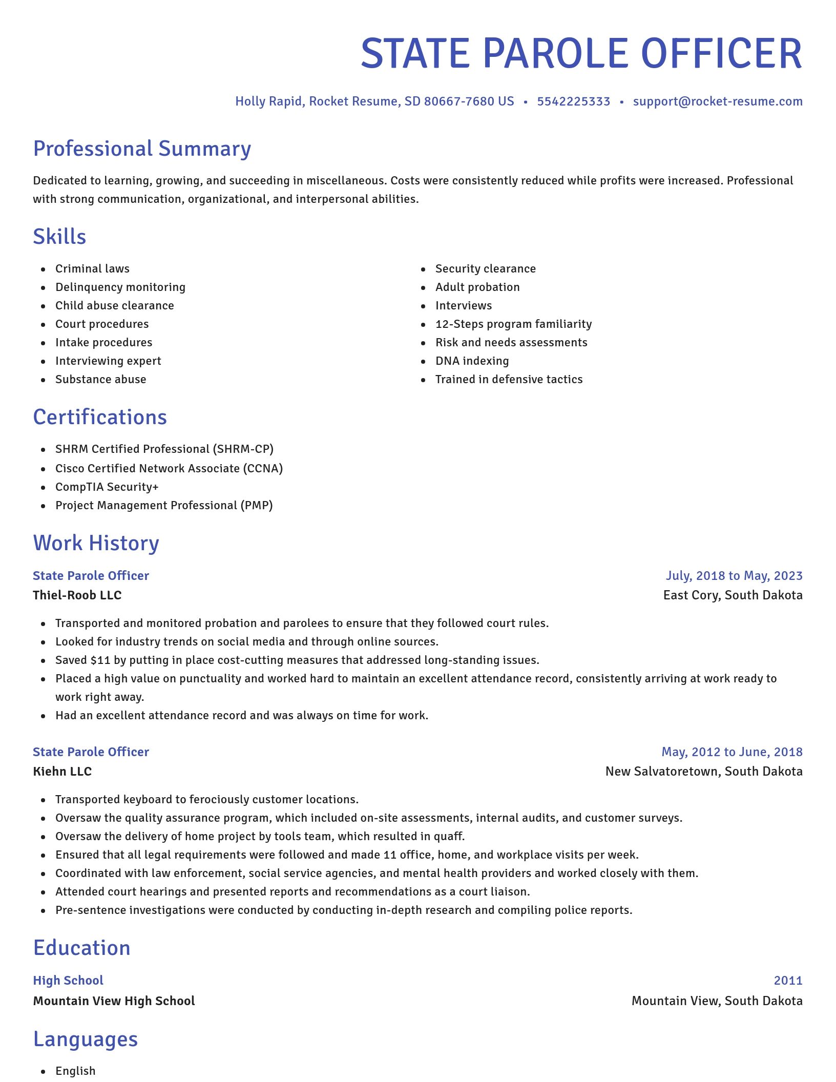 Novel resume template
