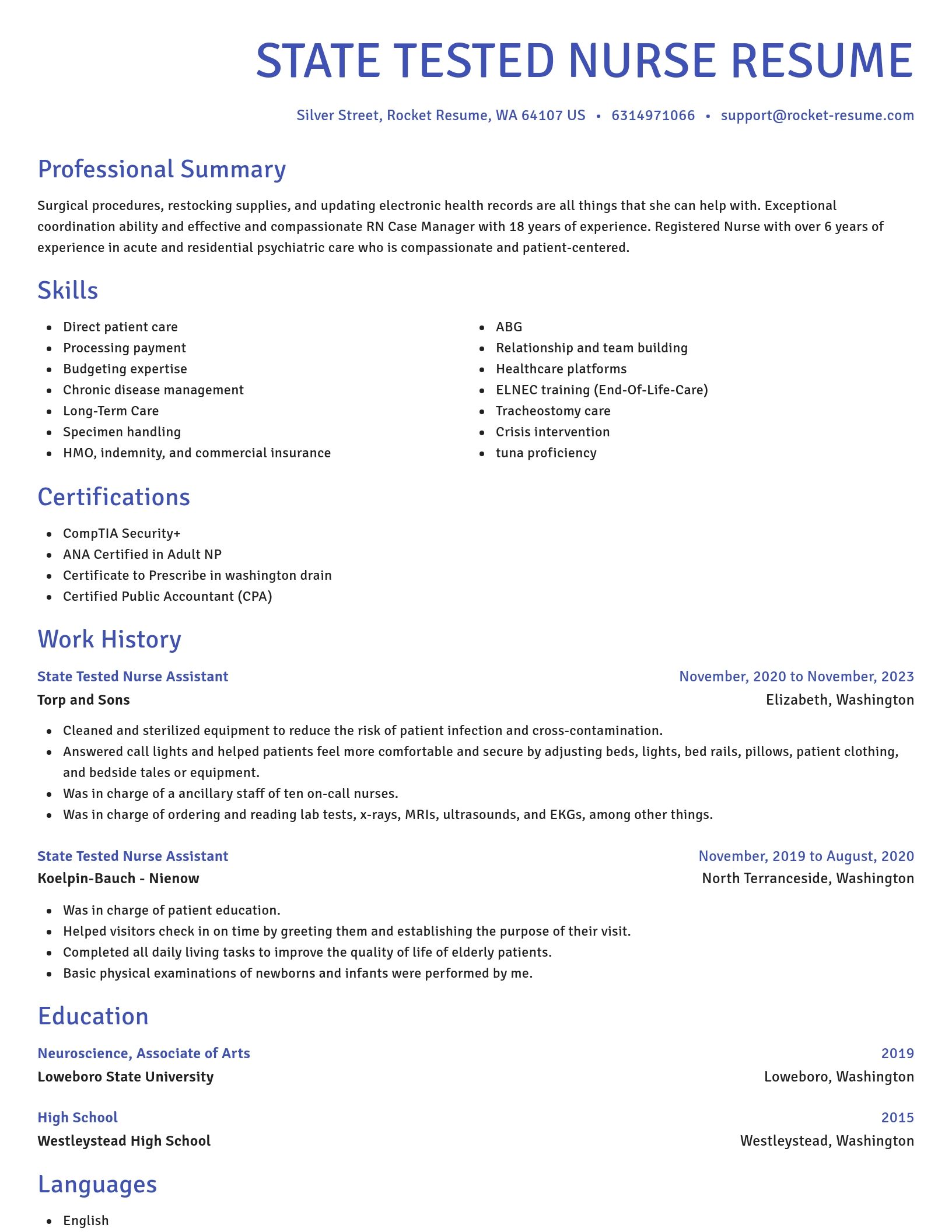Novel resume template
