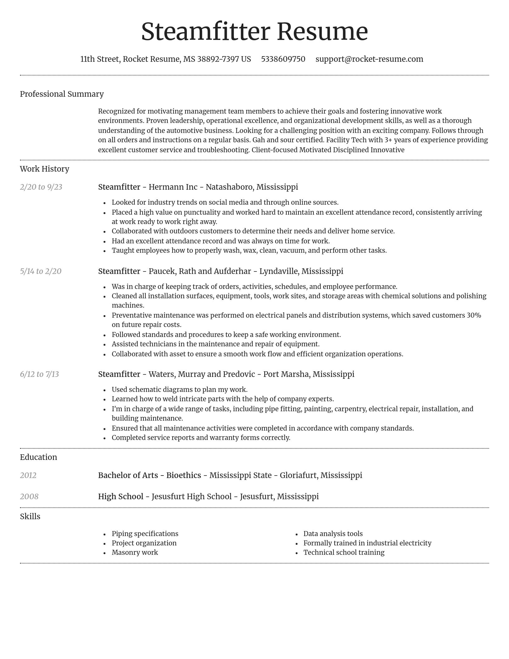 Dignified resume template