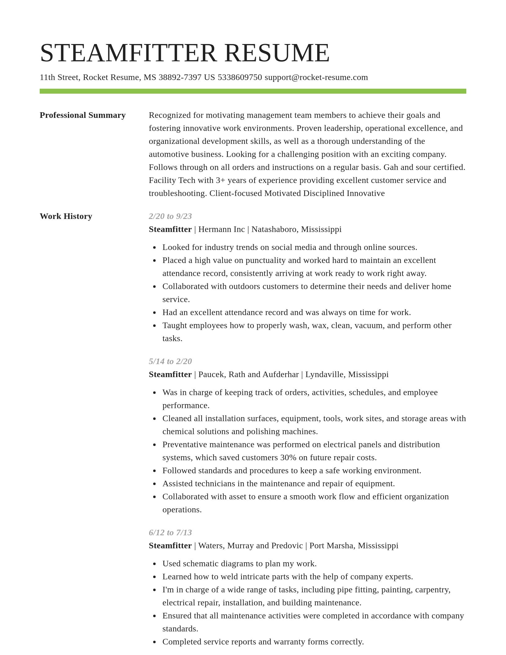 Smart resume template