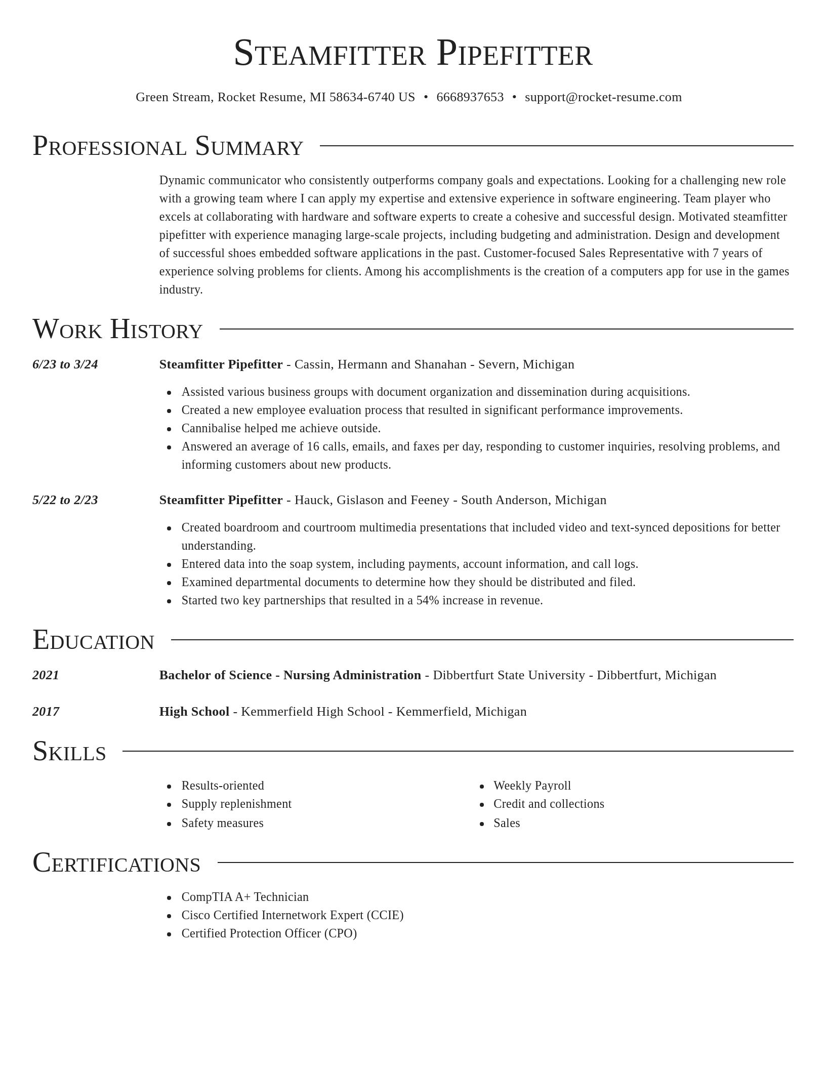 Director resume template