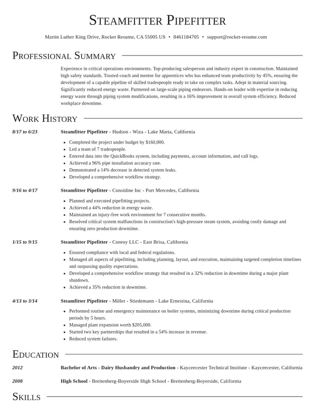 Director resume template