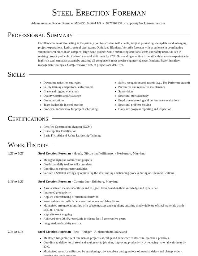 Director resume template