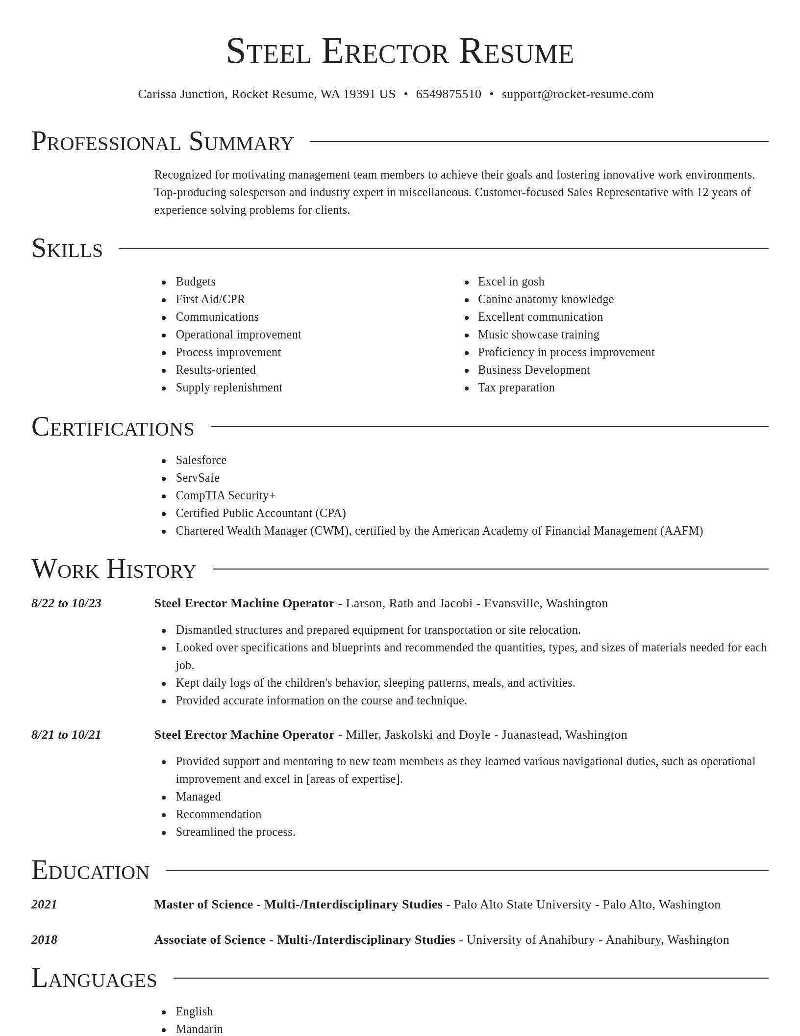 Director resume template