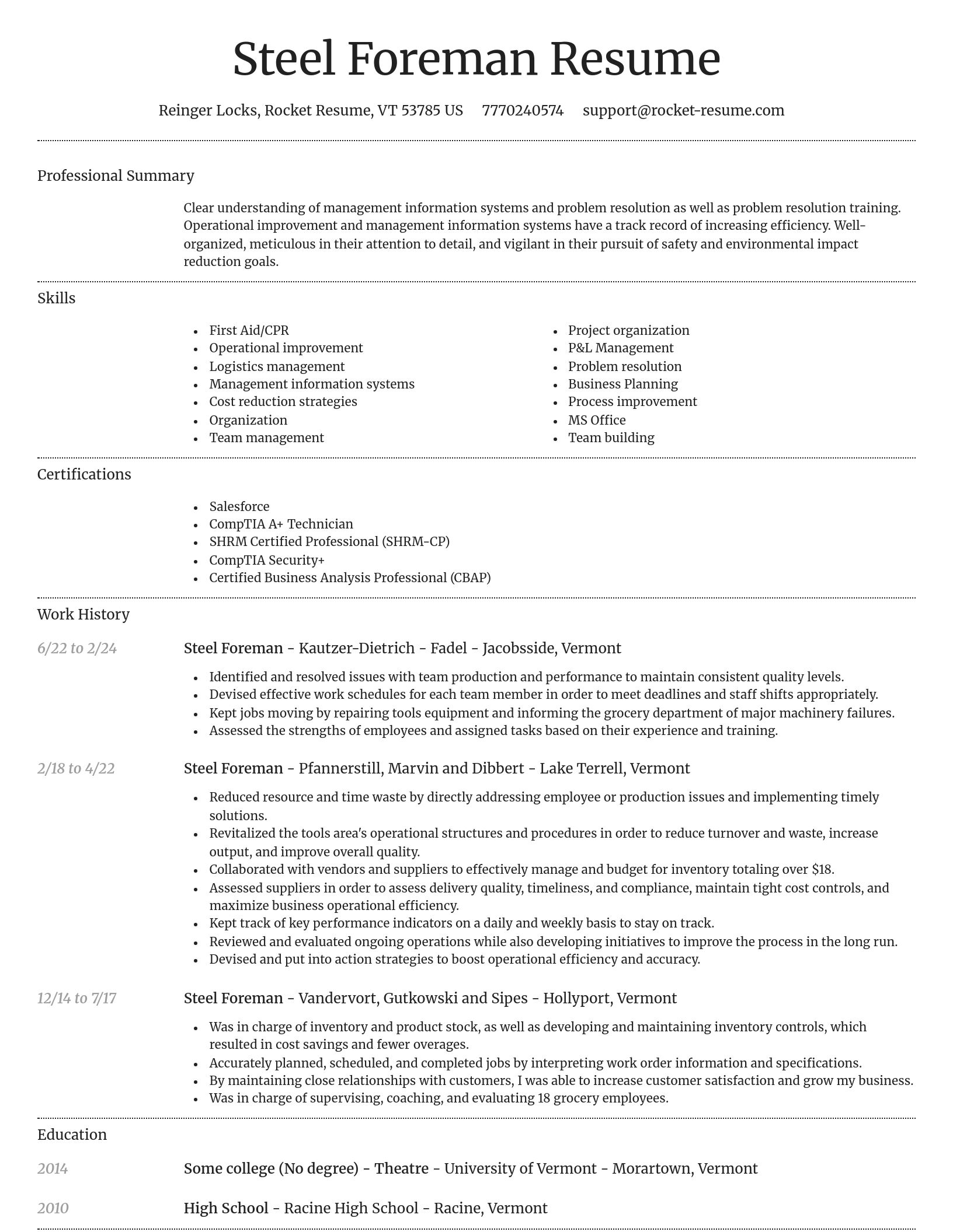 Dignified resume template