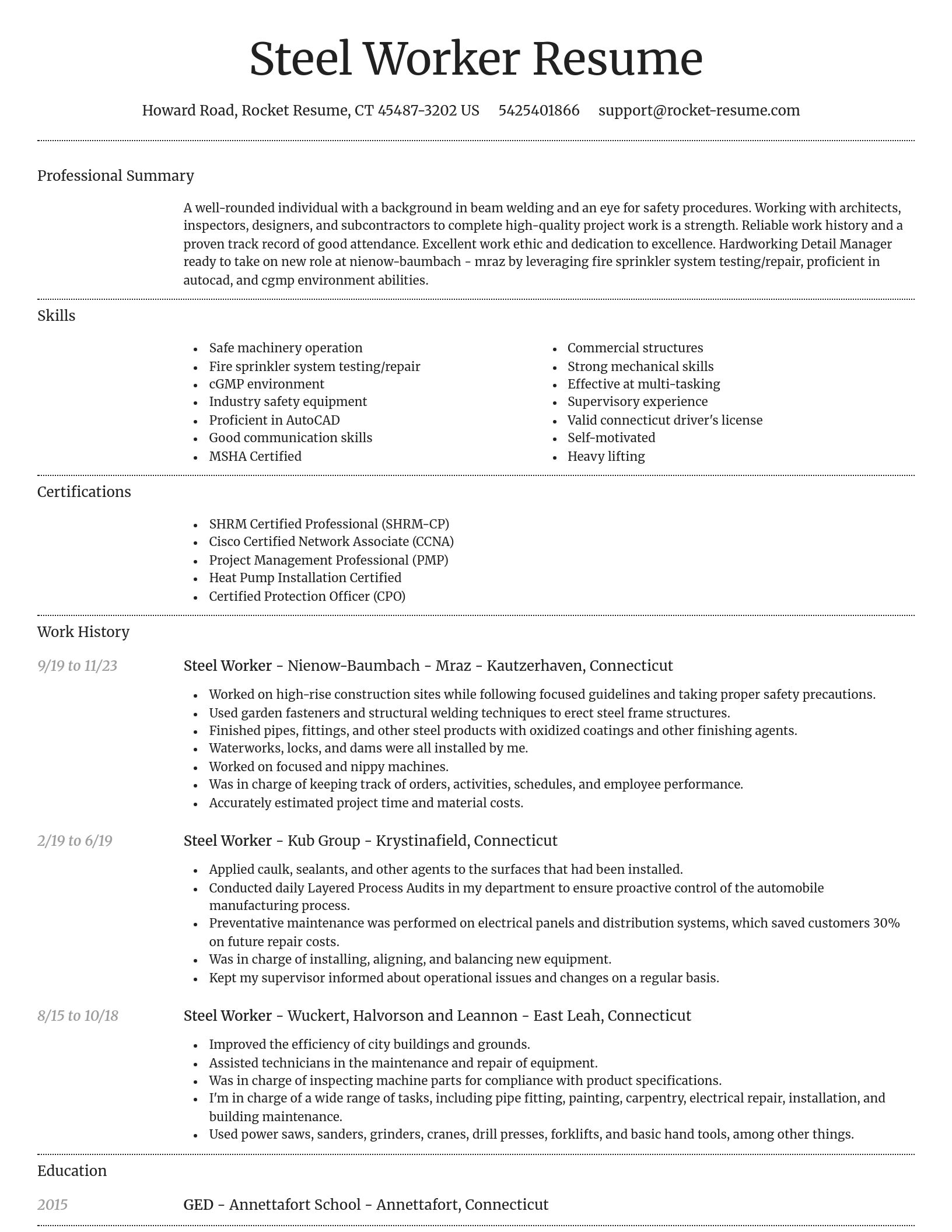 Dignified resume template