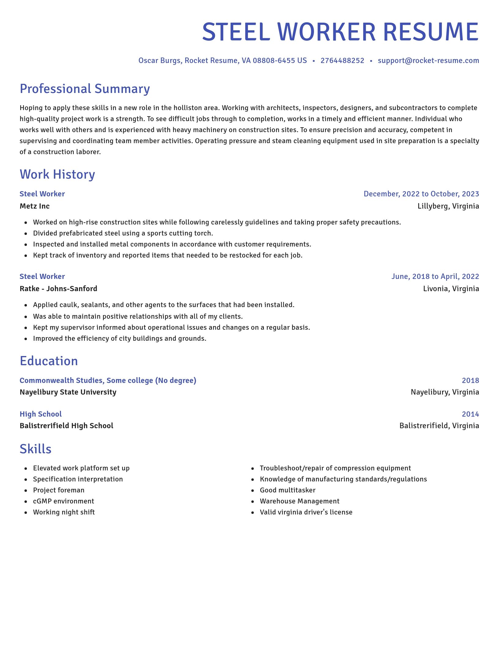Novel resume template