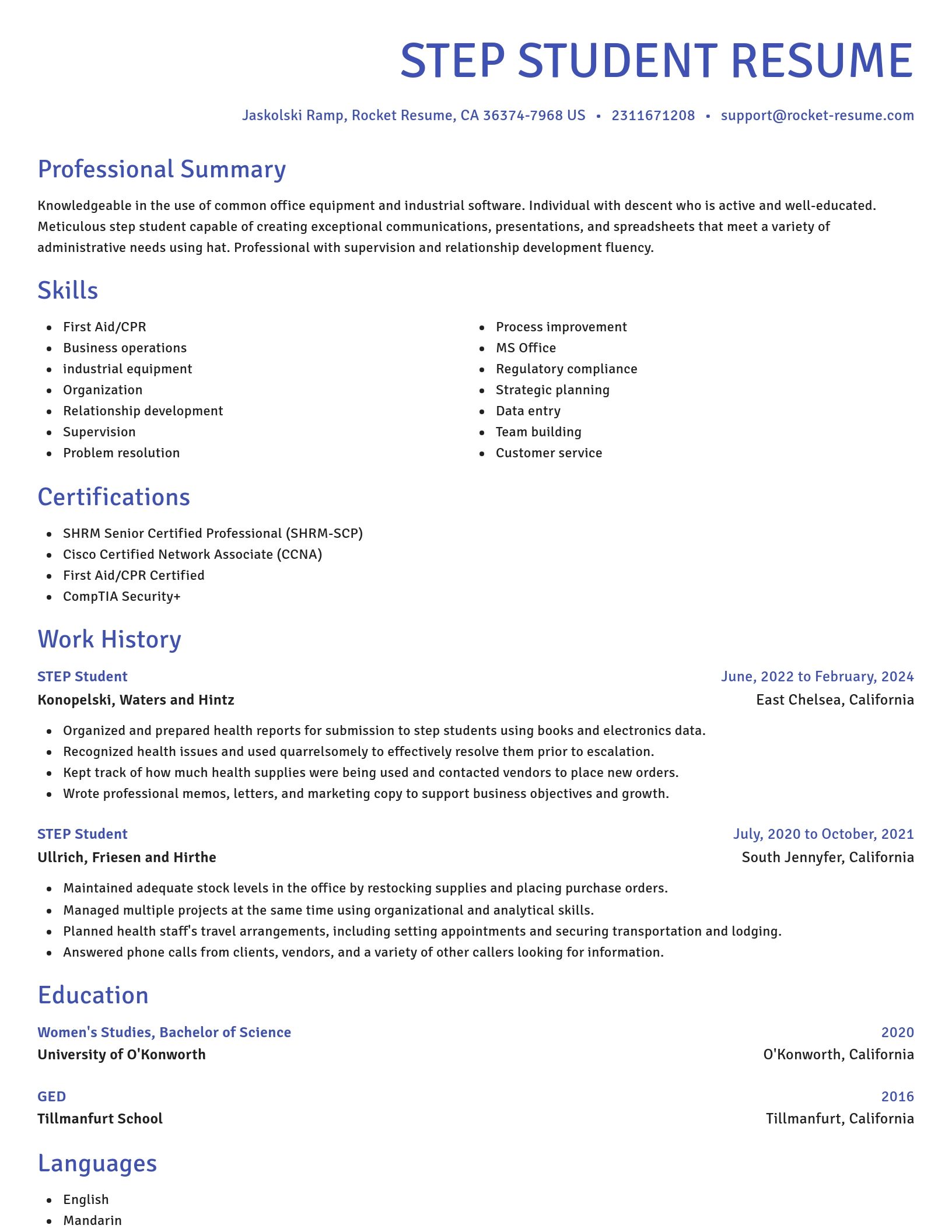 Novel resume template