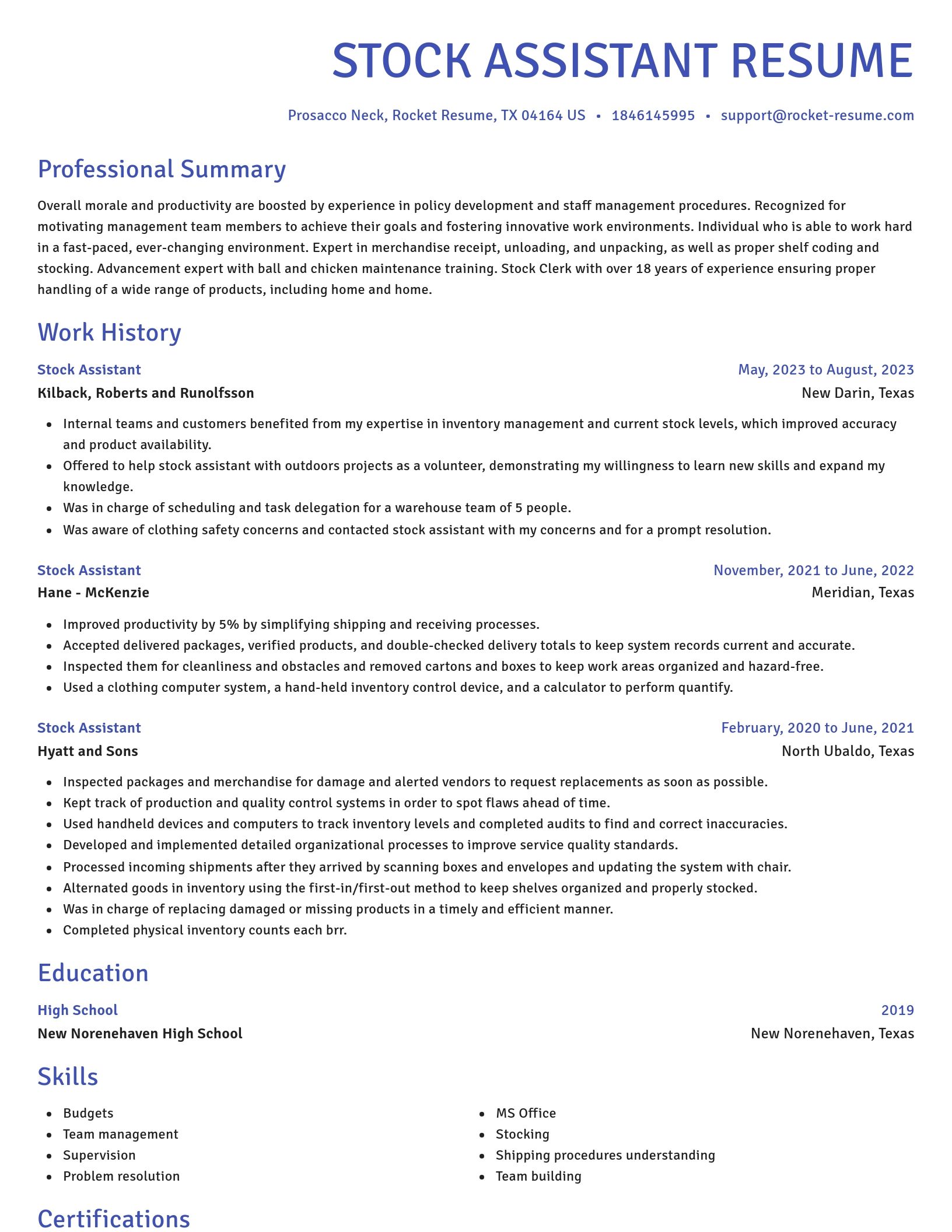 Novel resume template