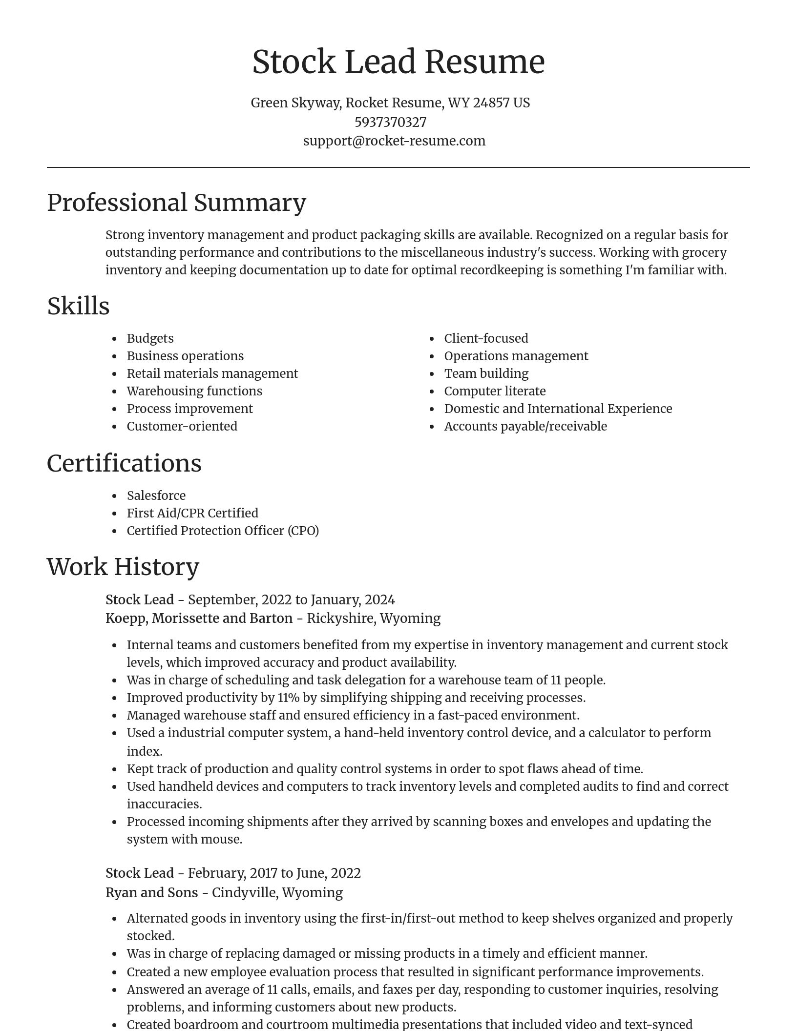 Focal Point resume template