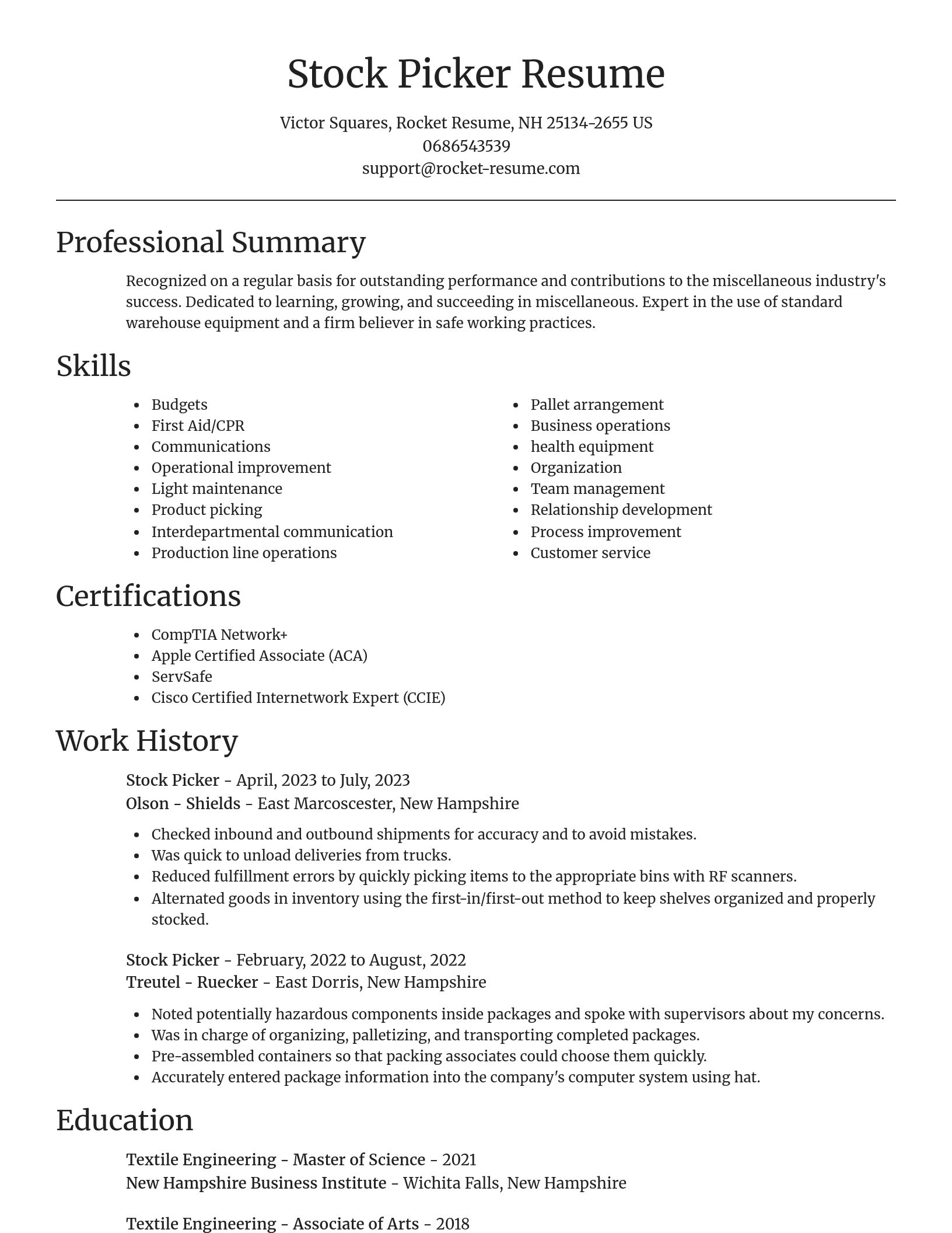 Focal Point resume template