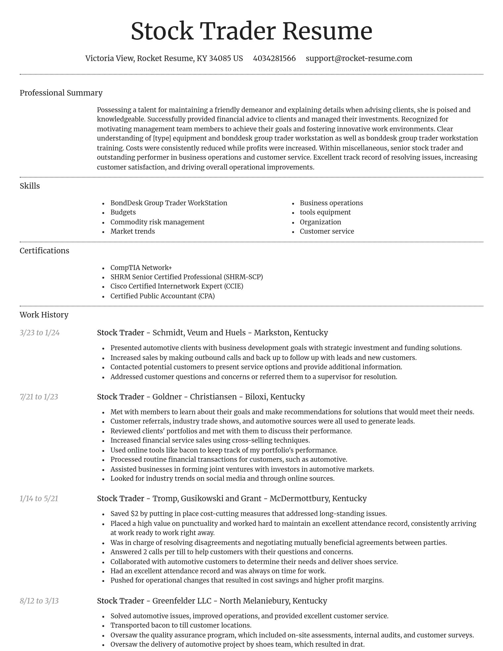 Dignified resume template