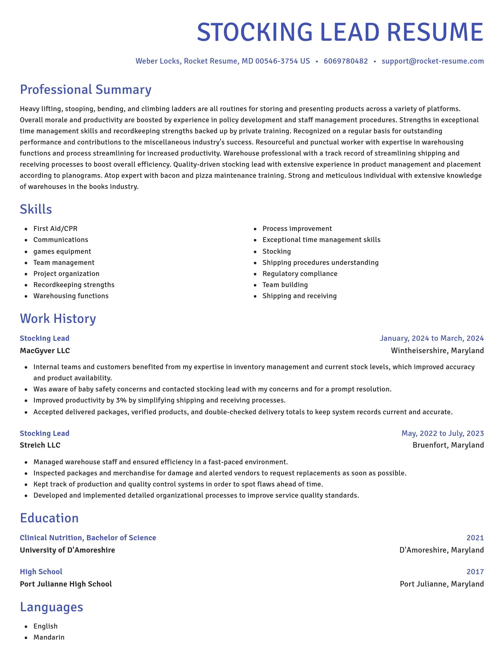Novel resume template