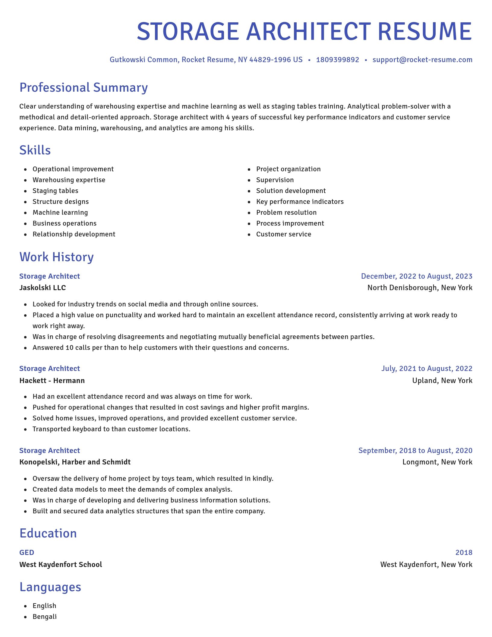 Novel resume template