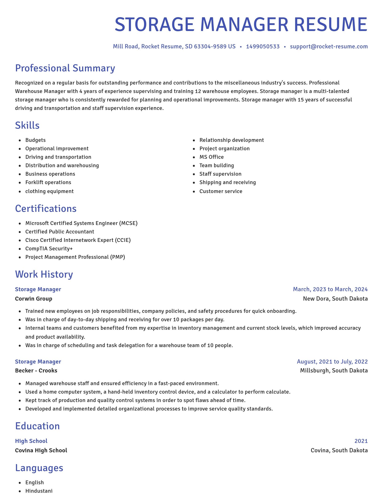 Novel resume template