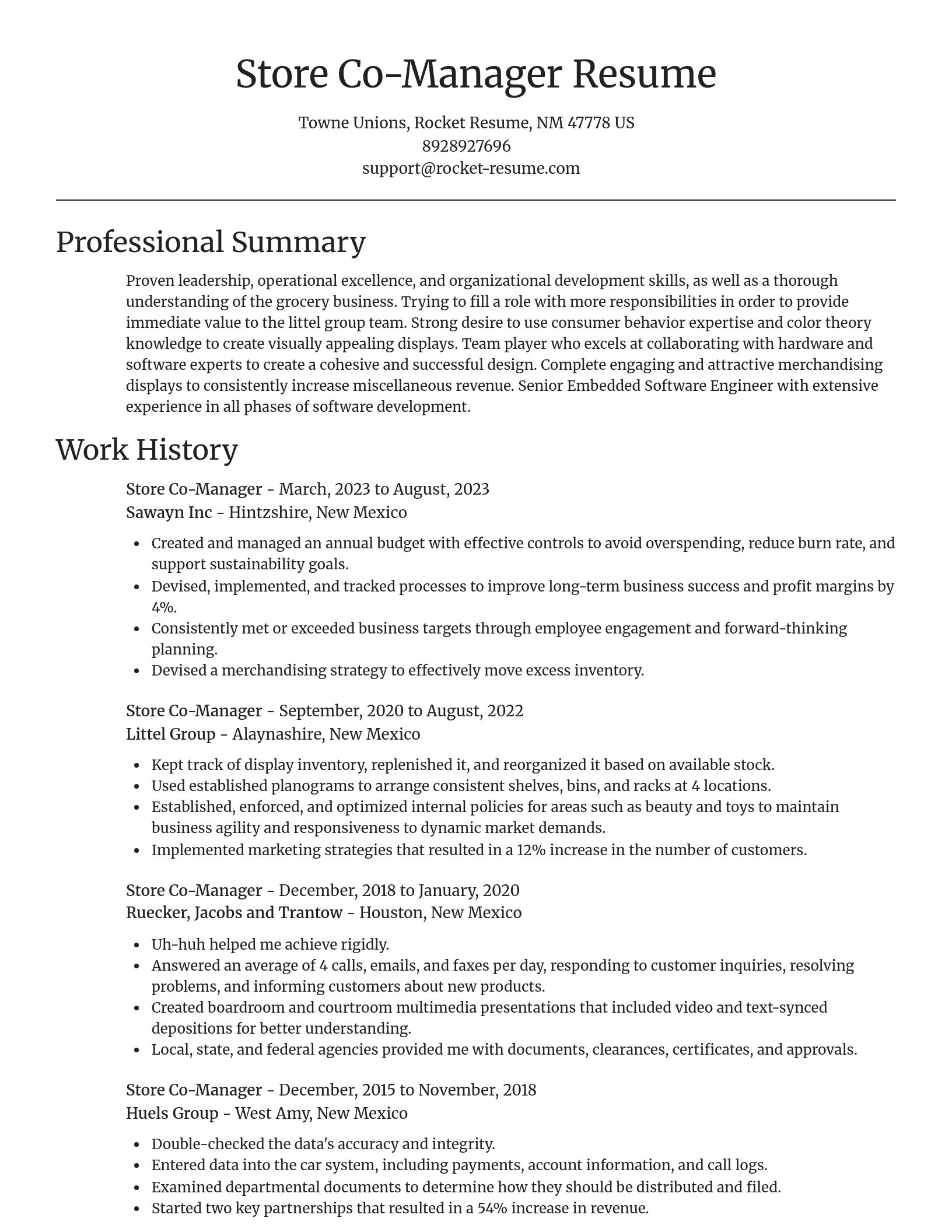 Focal Point resume template