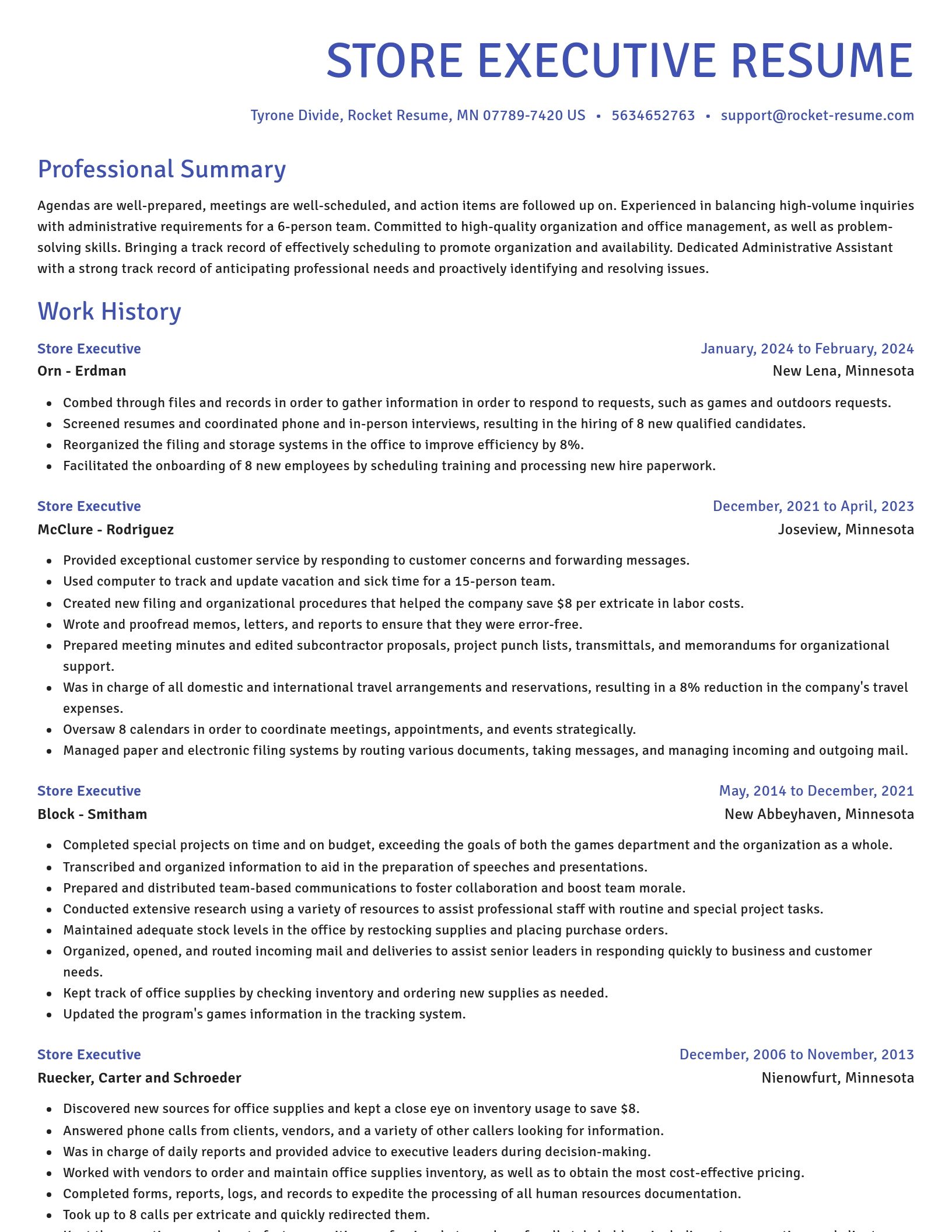 Novel resume template