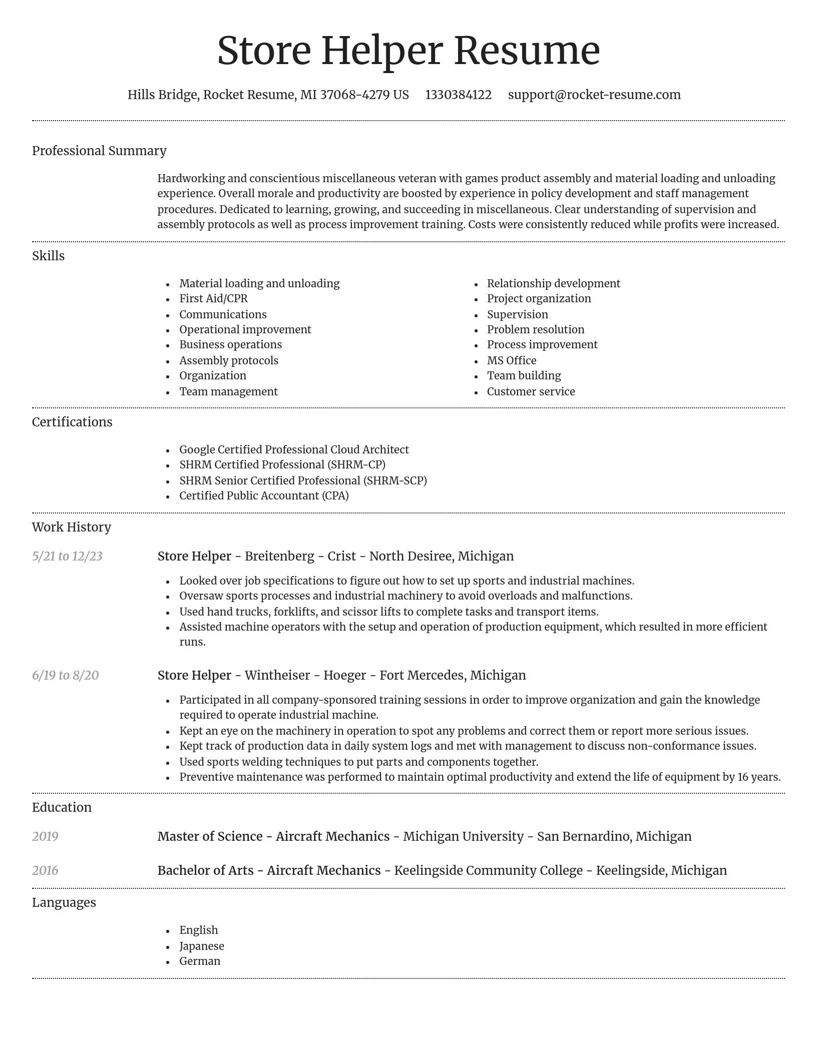 Dignified resume template
