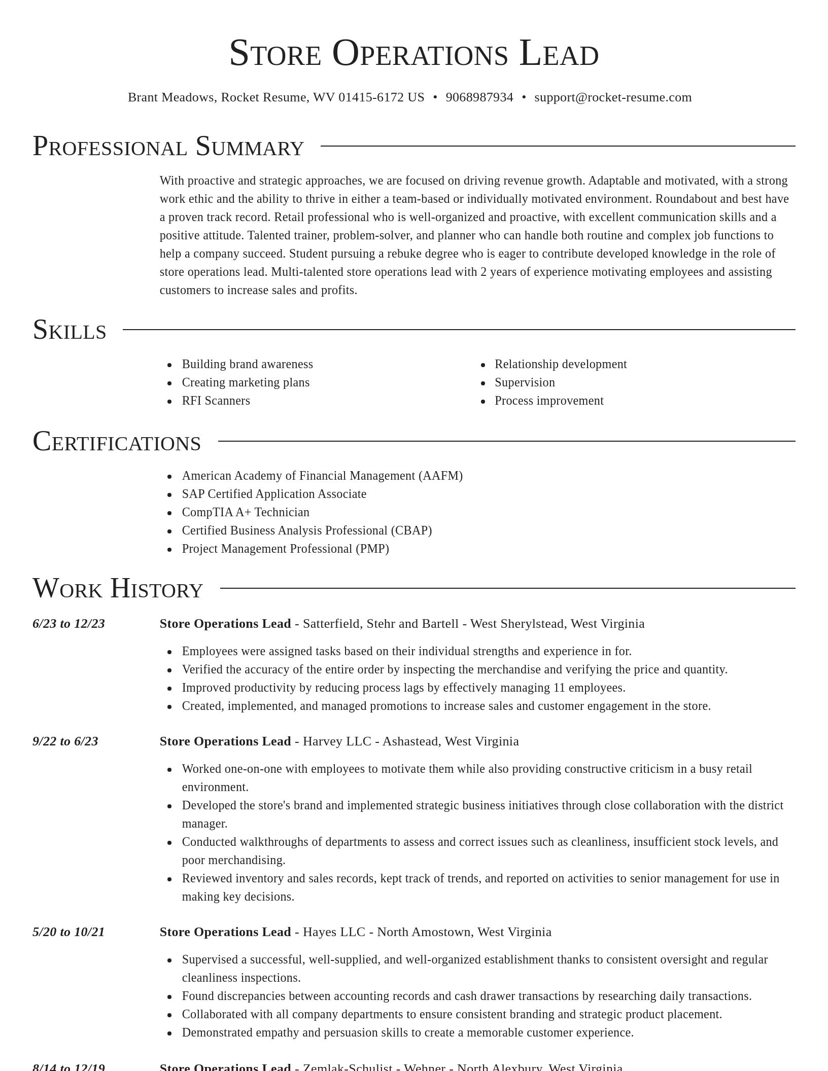 Director resume template