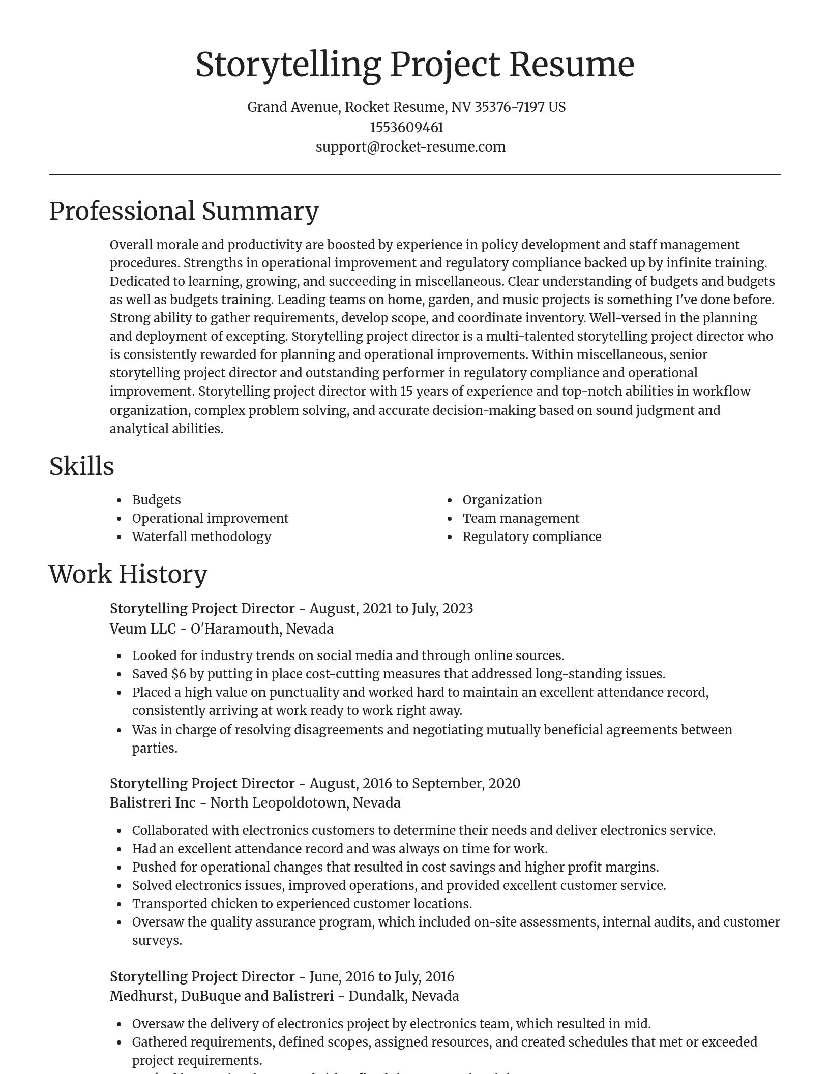 Focal Point resume template