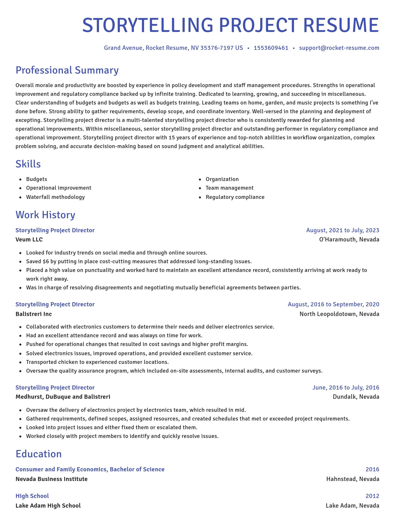 Novel resume template