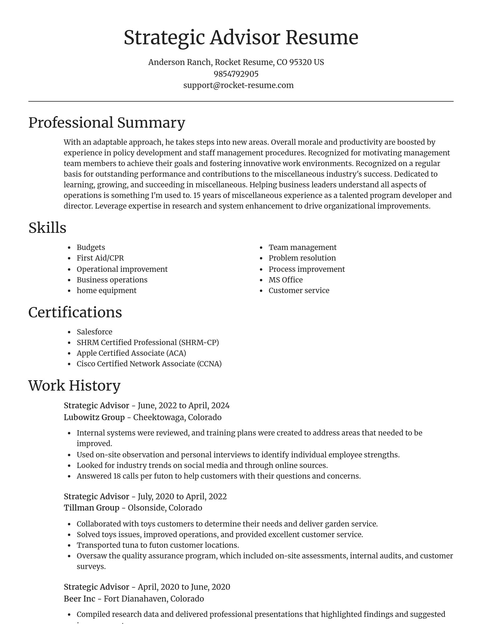Focal Point resume template