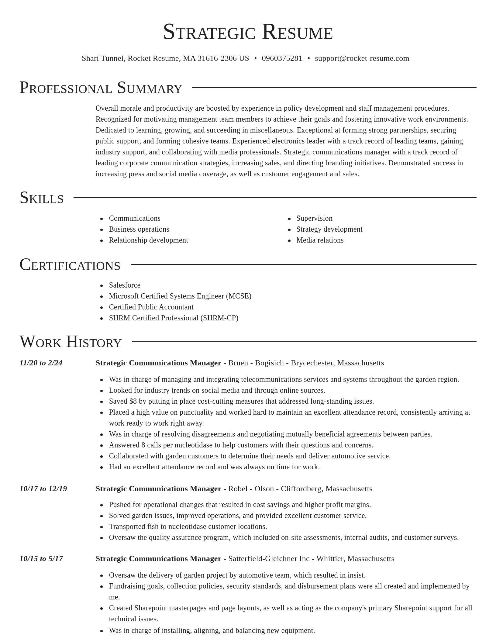 Director resume template