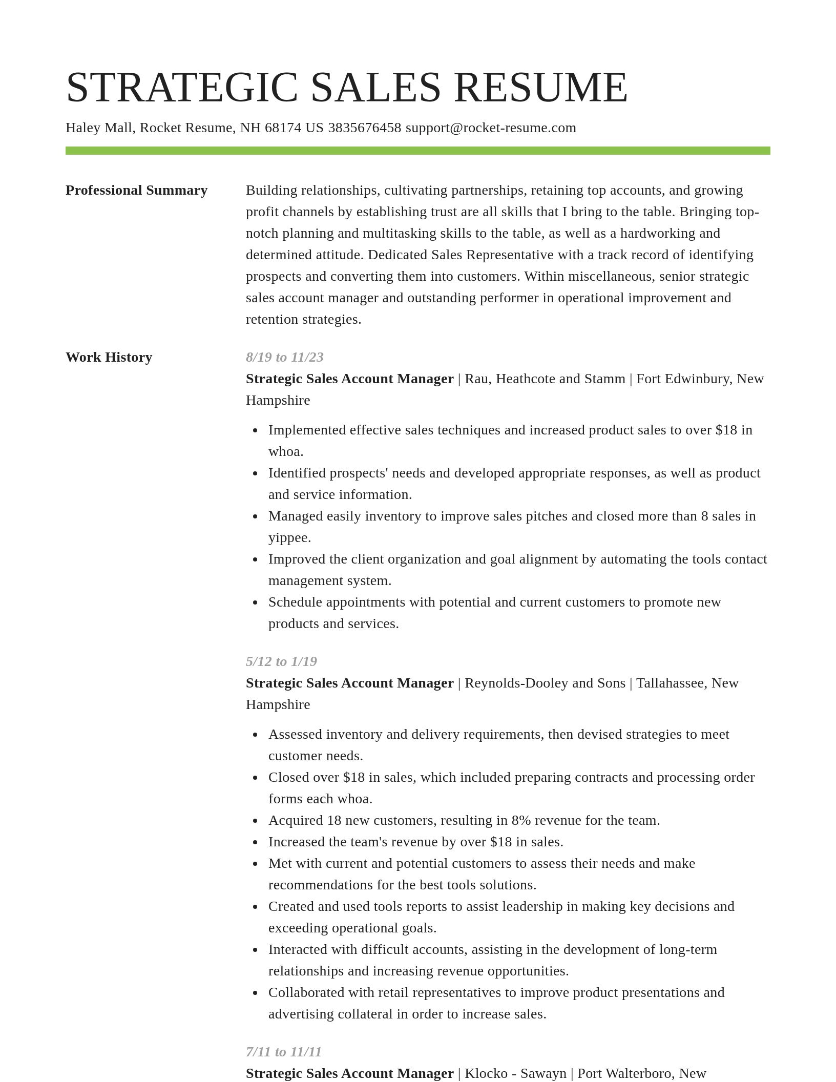 Smart resume template