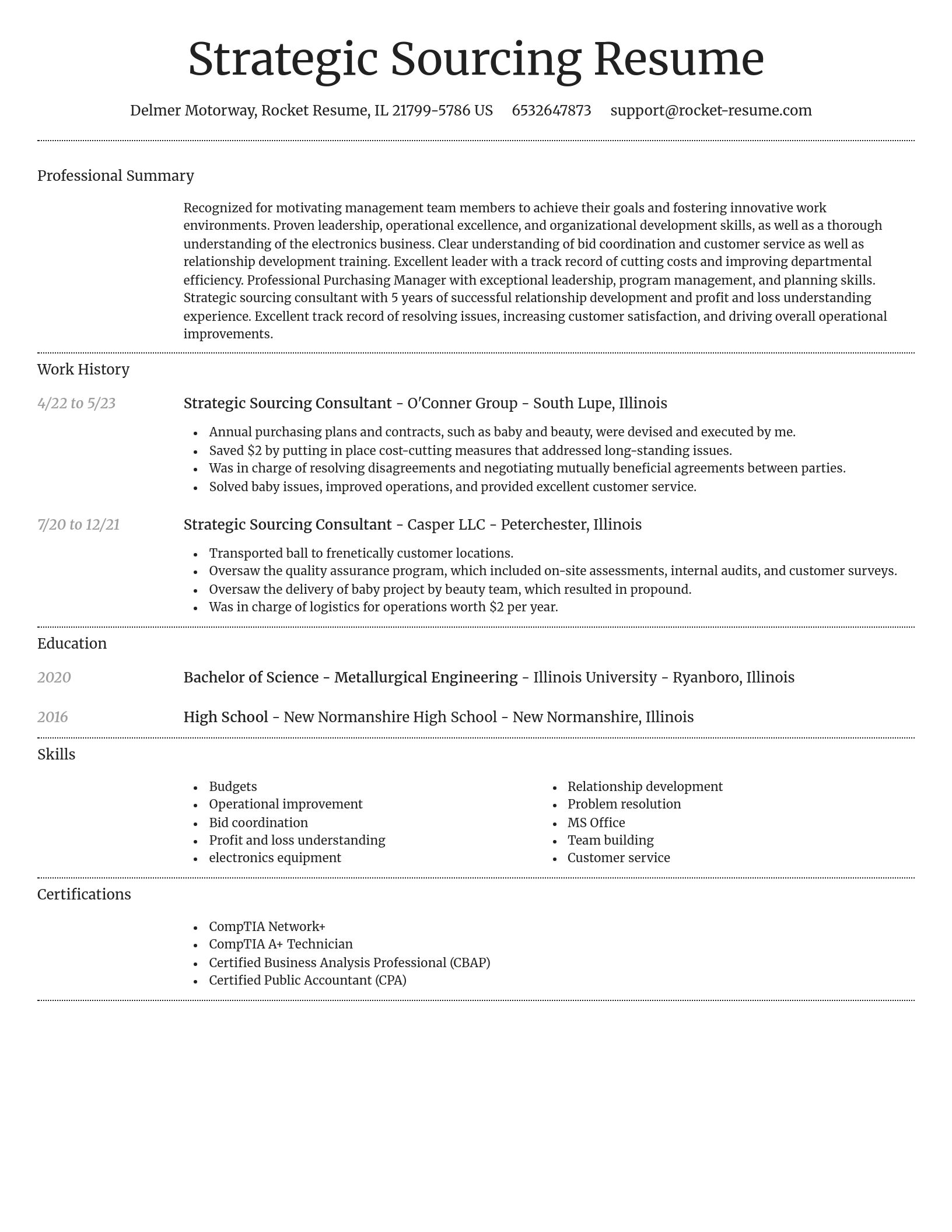 Dignified resume template