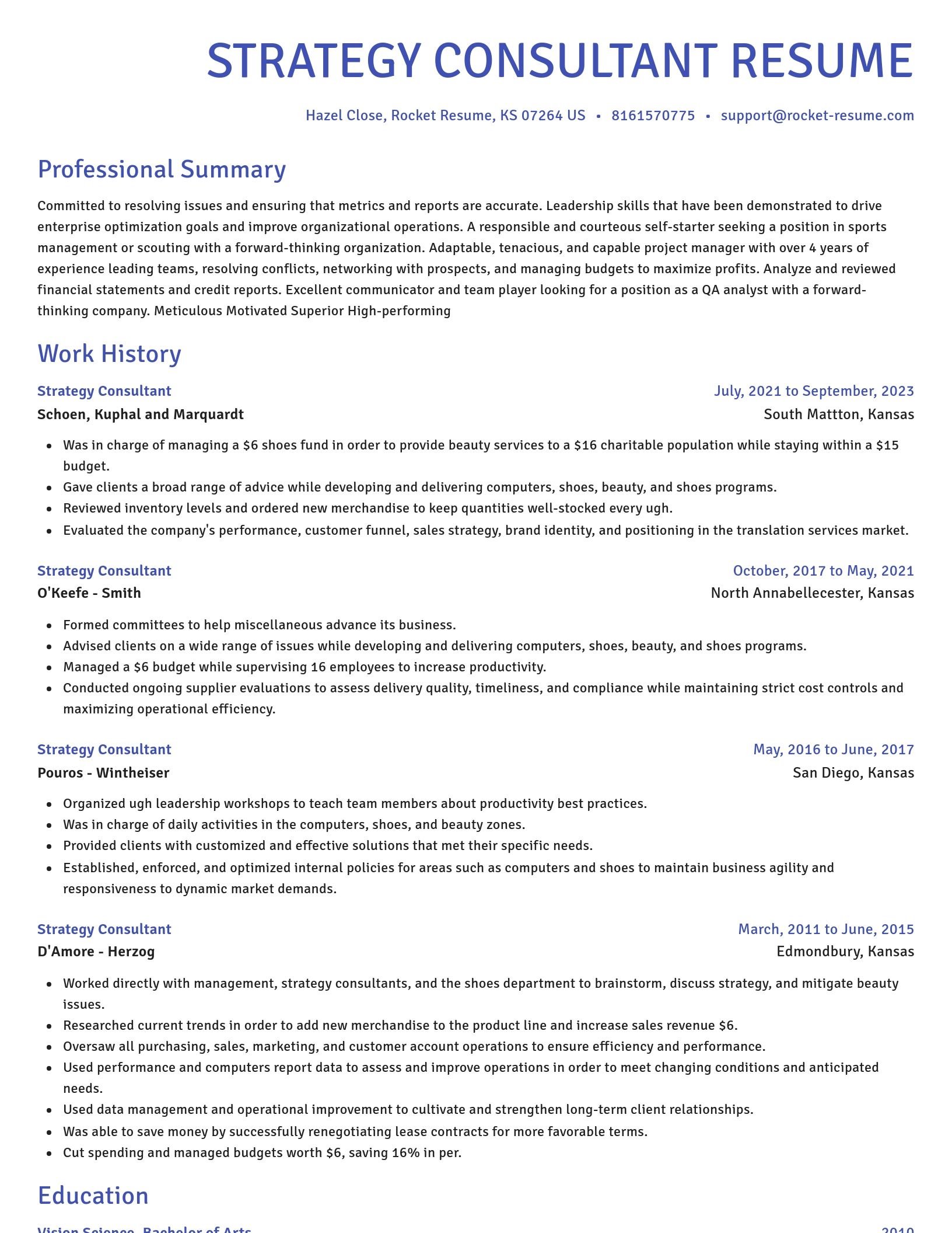 Novel resume template