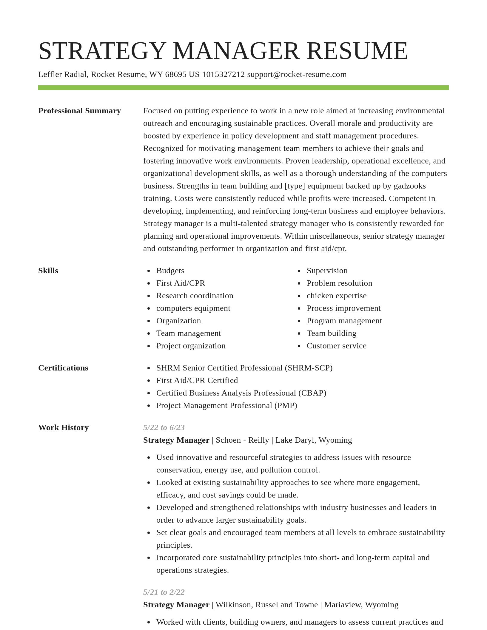Smart resume template