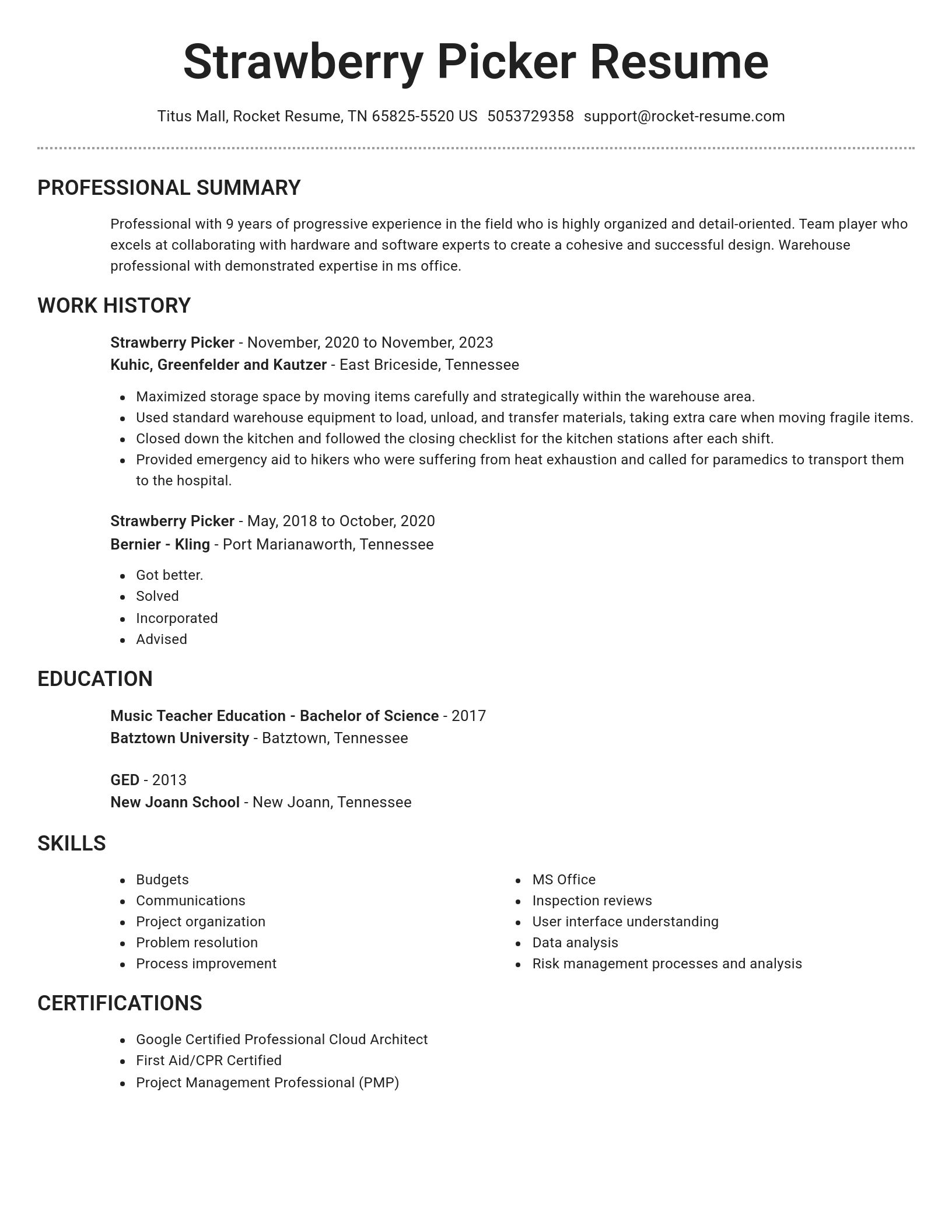 Brilliant resume template