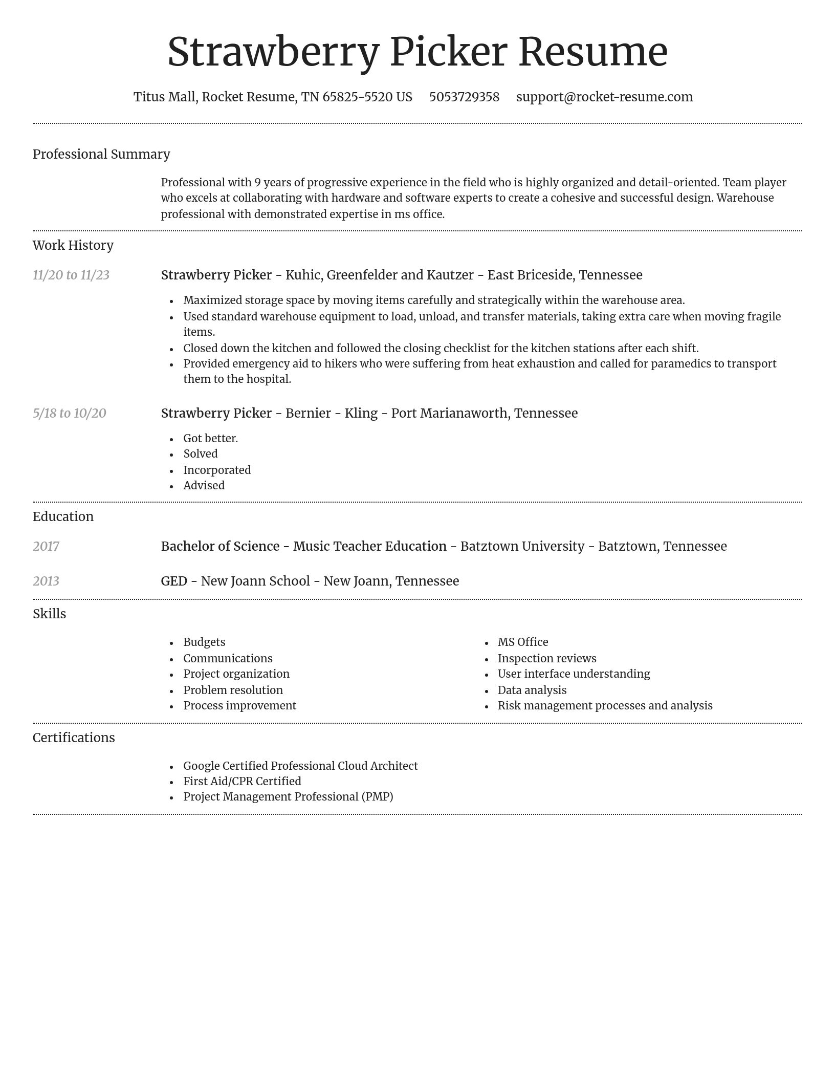 Dignified resume template