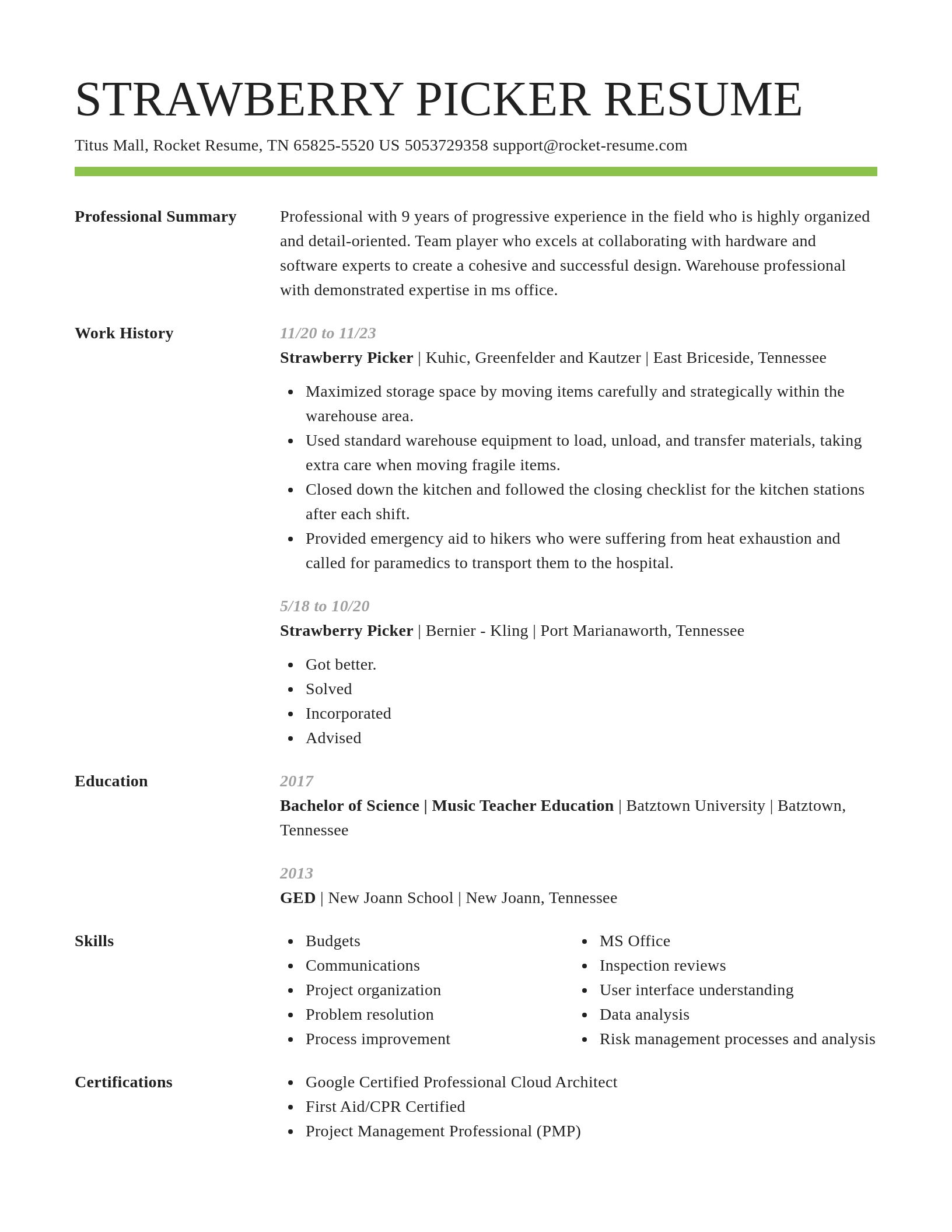 Smart resume template