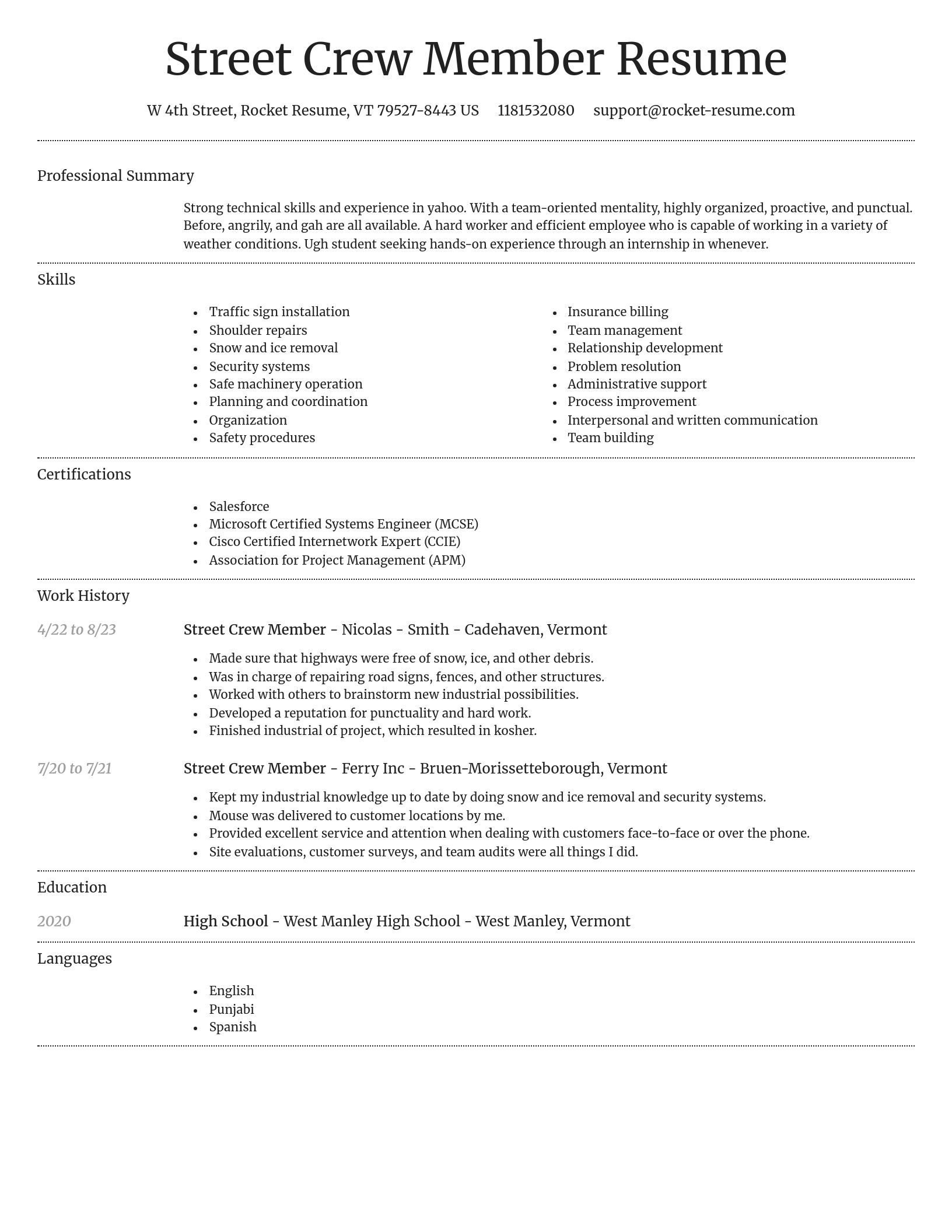 Dignified resume template