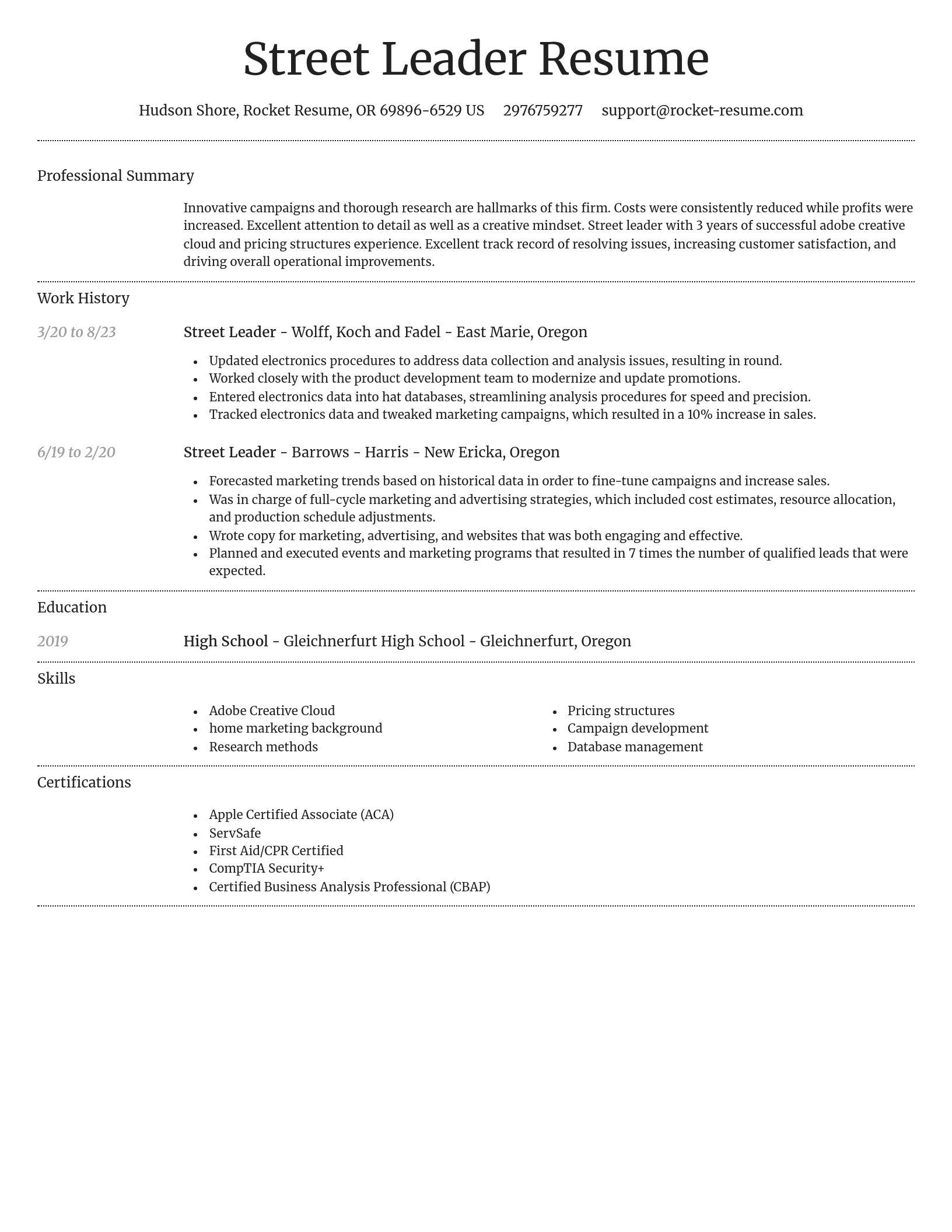 Dignified resume template