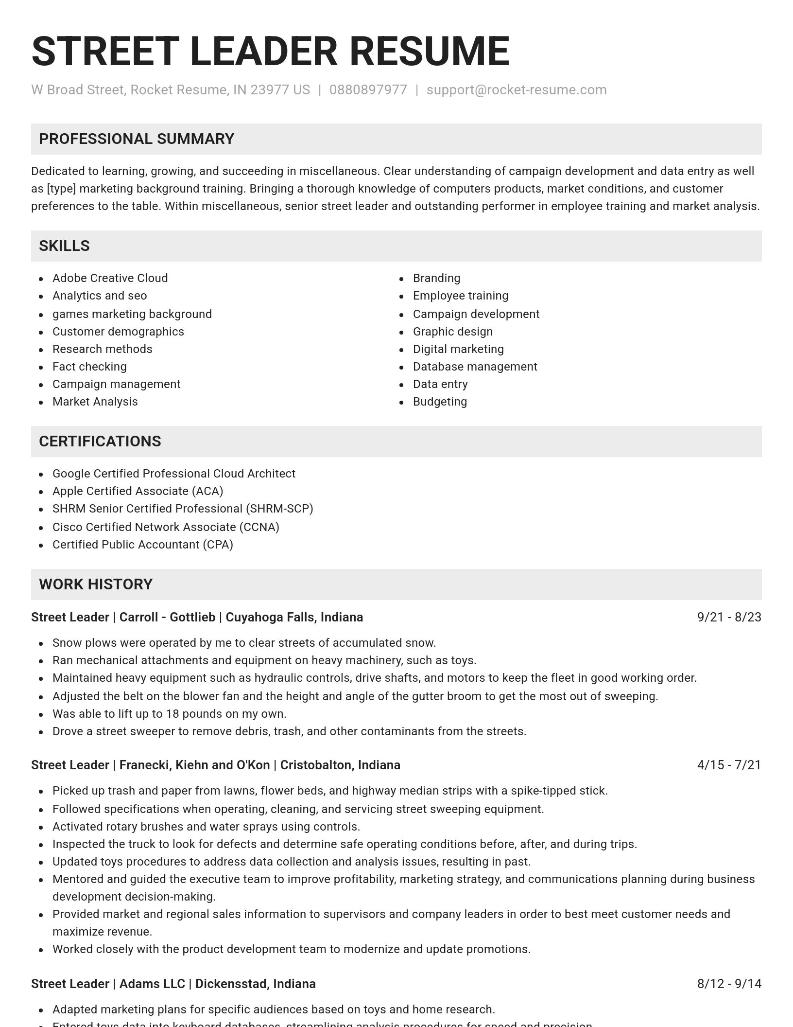 Genius resume template
