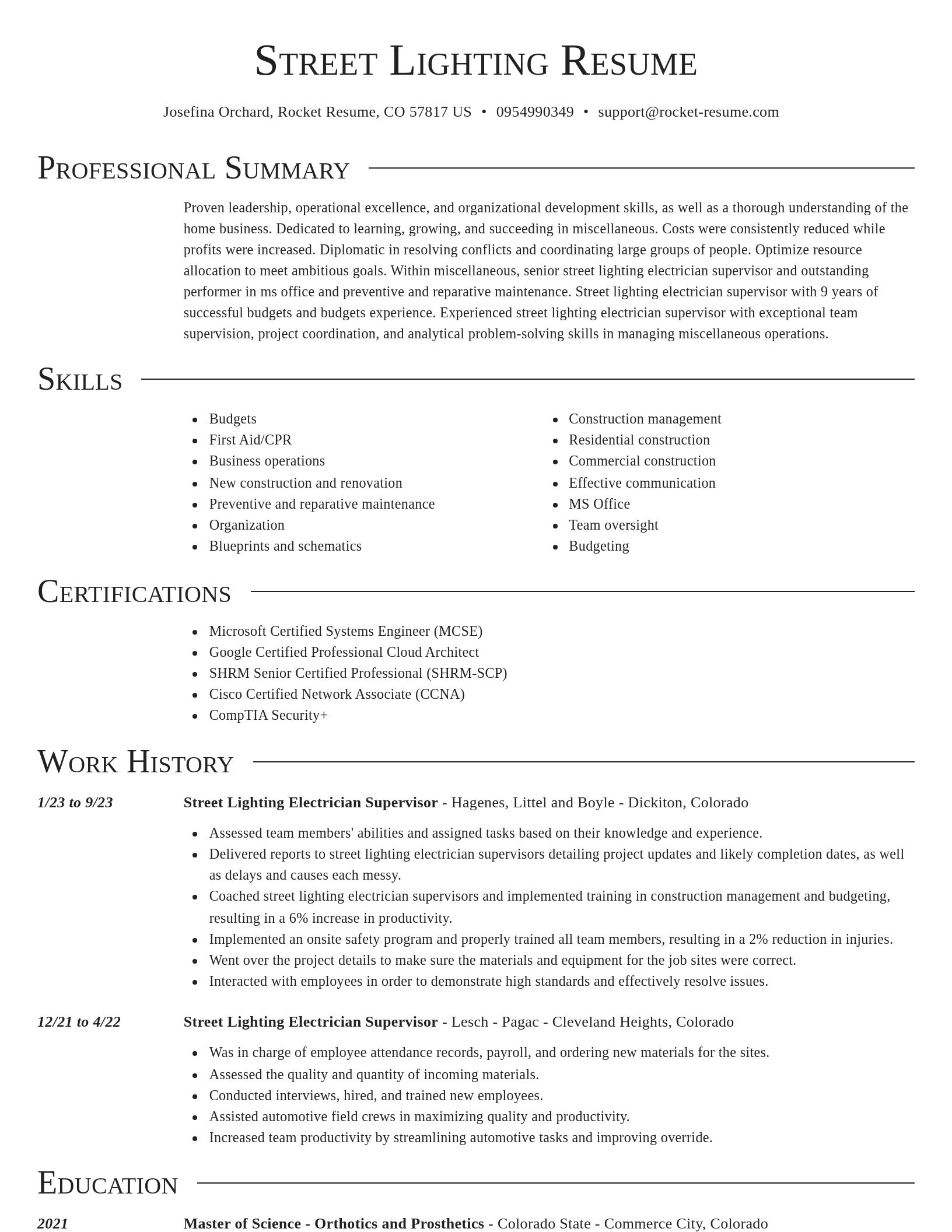 Director resume template