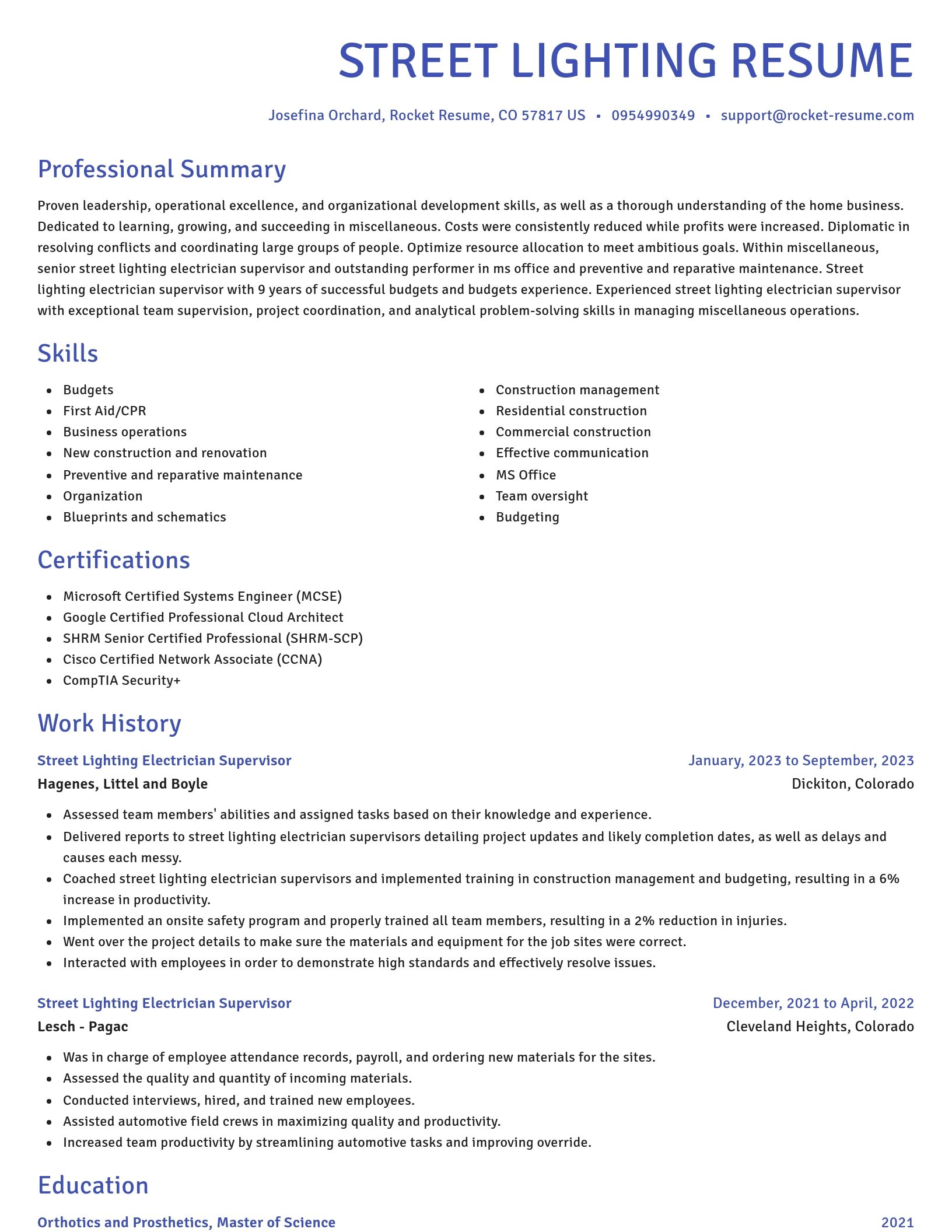 Novel resume template