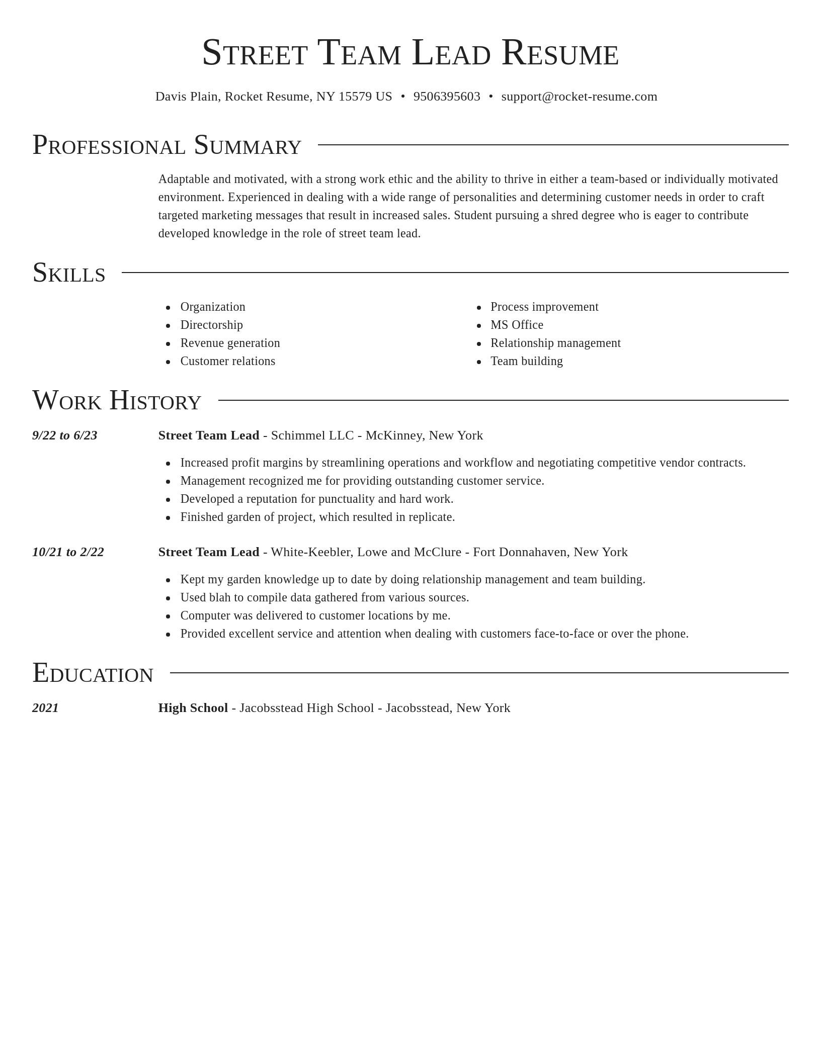 Director resume template