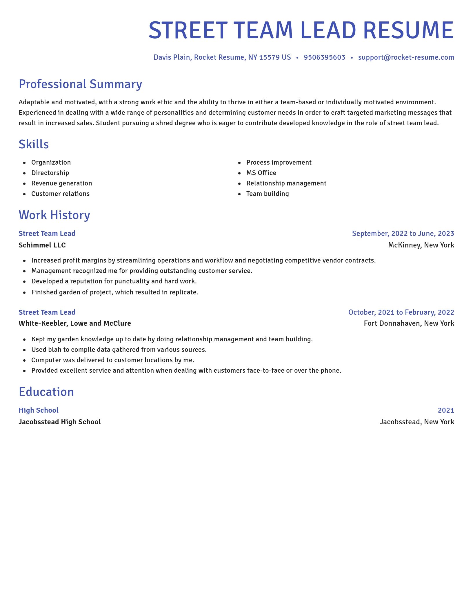 Novel resume template