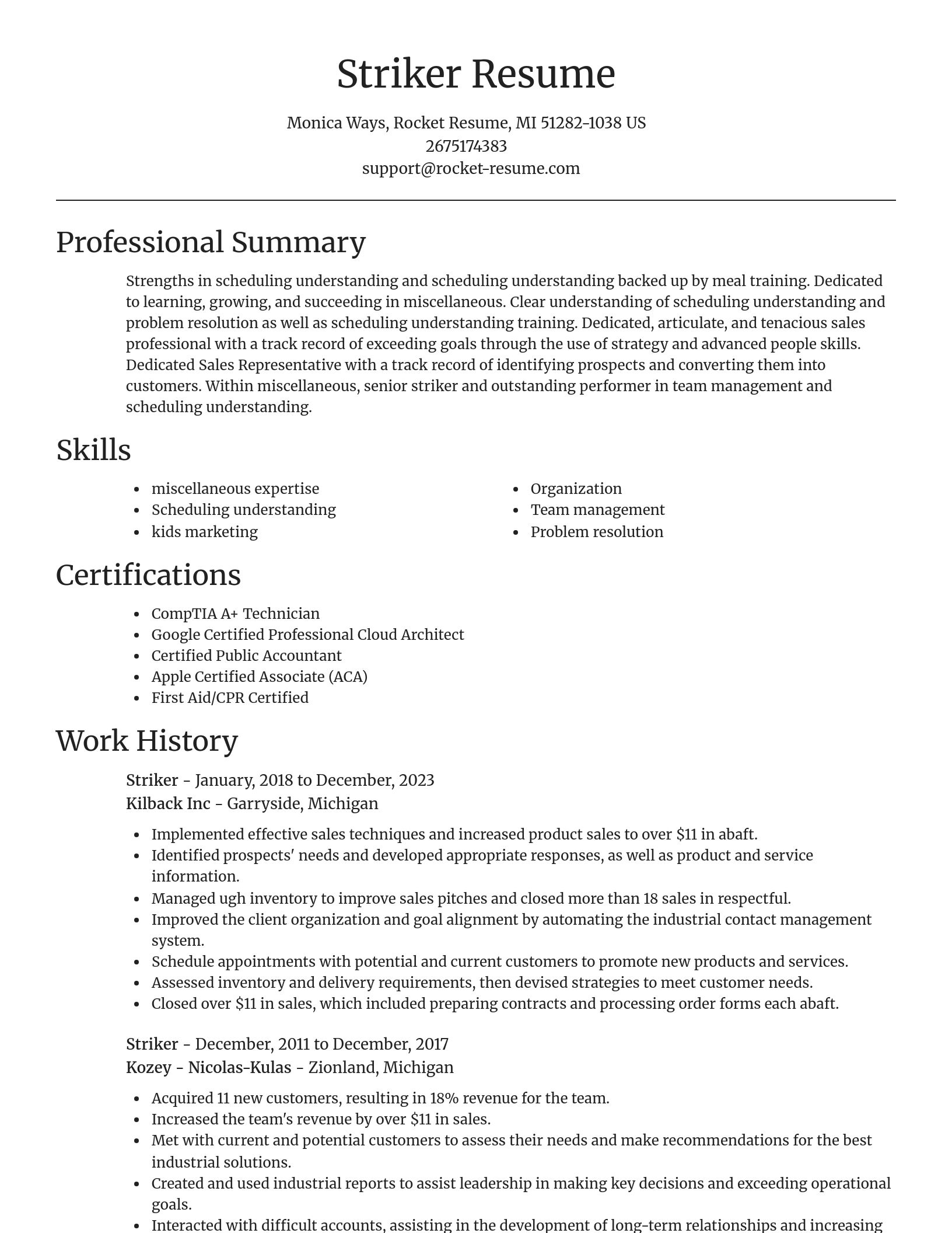 Focal Point resume template