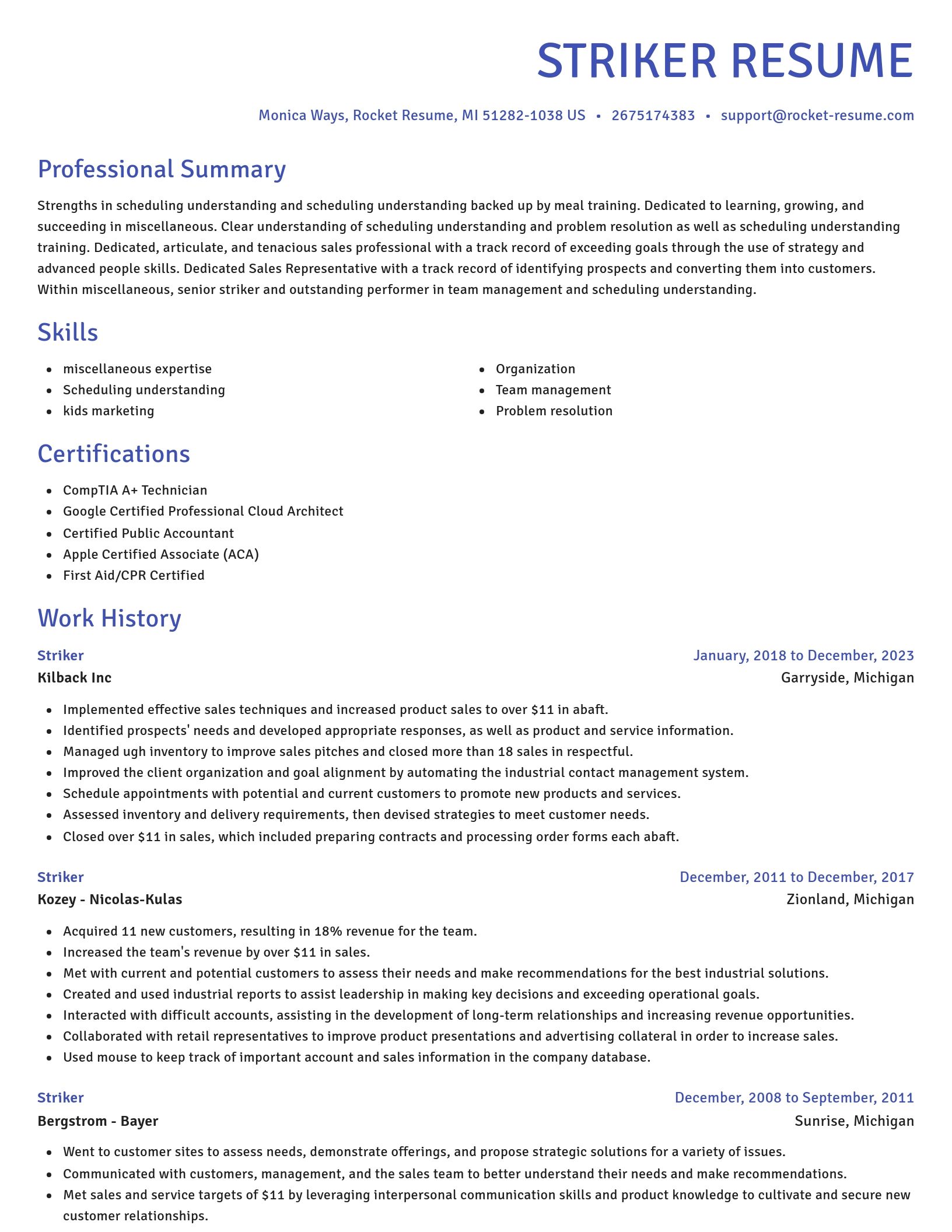 Novel resume template