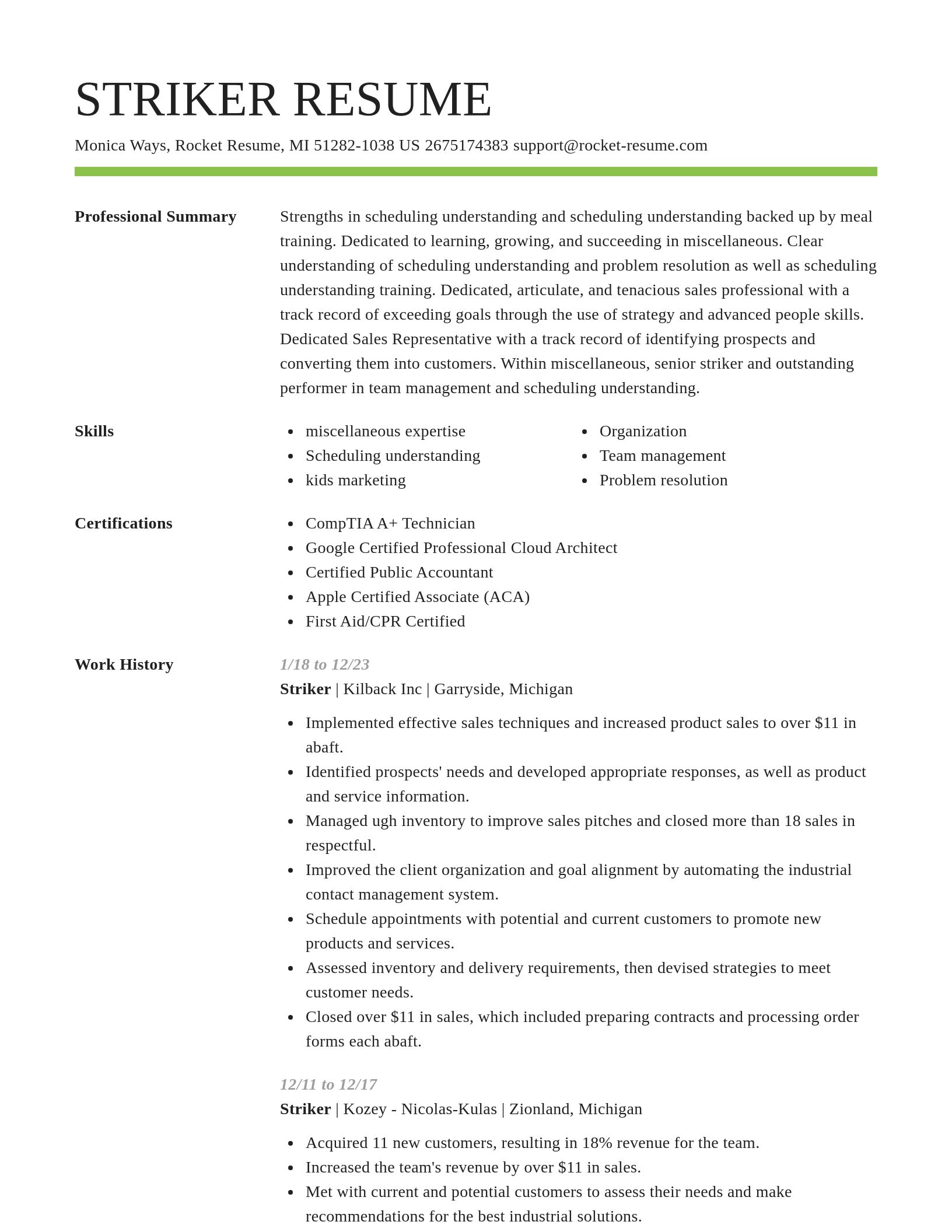 Smart resume template